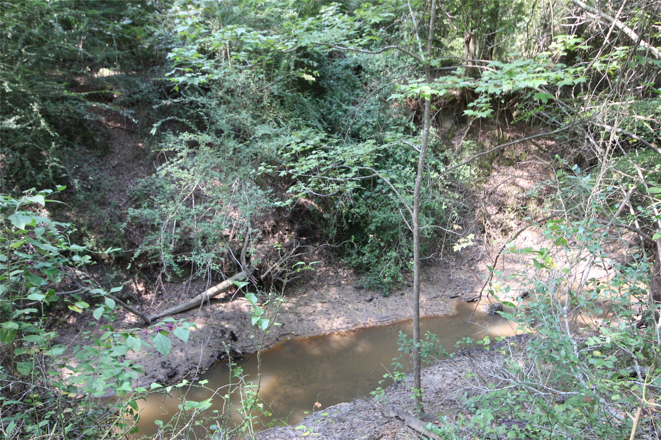 0 Cr 347 Palestine TX 75802