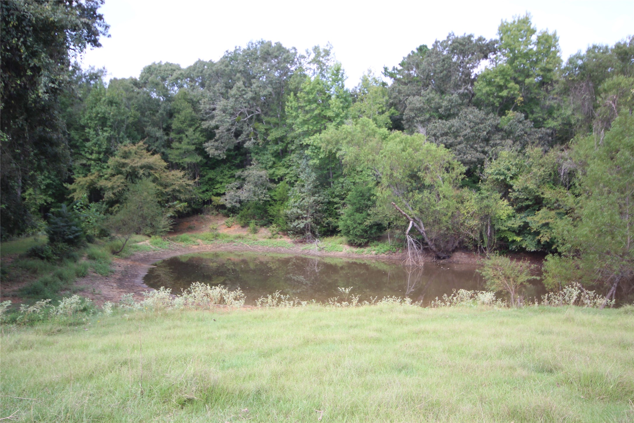 0 Cr 347 Palestine TX 75802