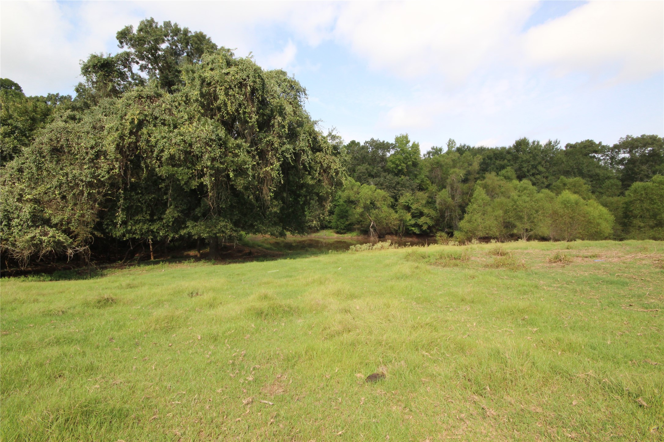 0 Cr 347 Palestine TX 75802