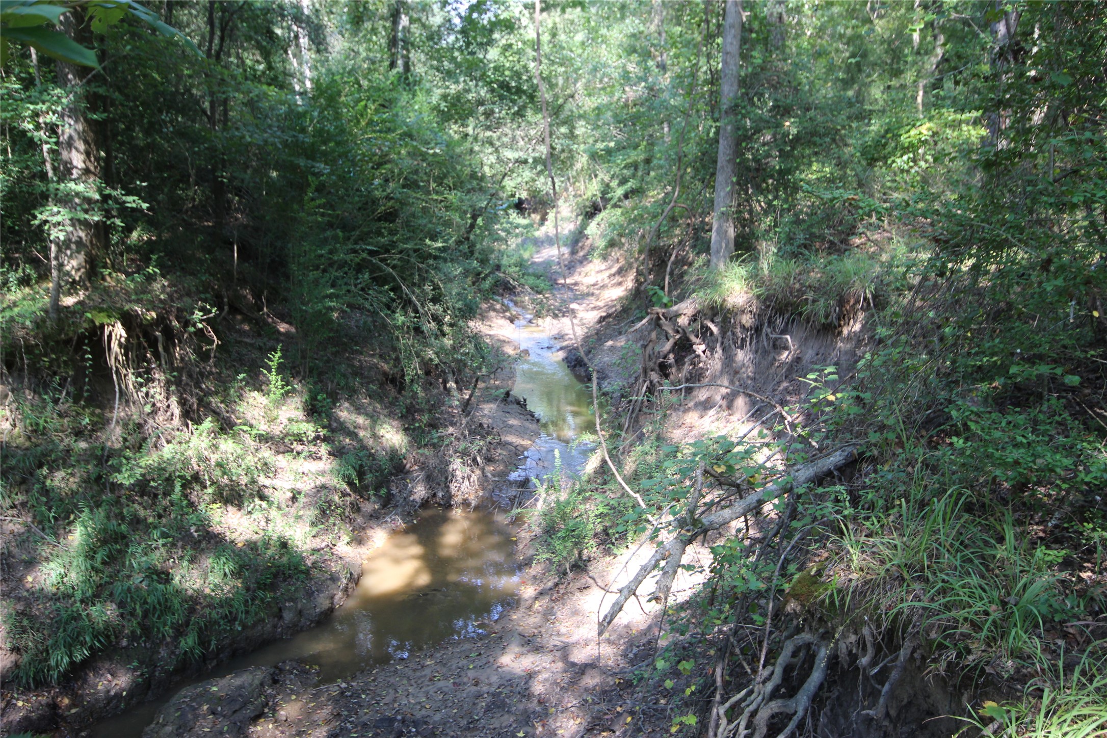 0 Cr 347 Palestine TX 75802