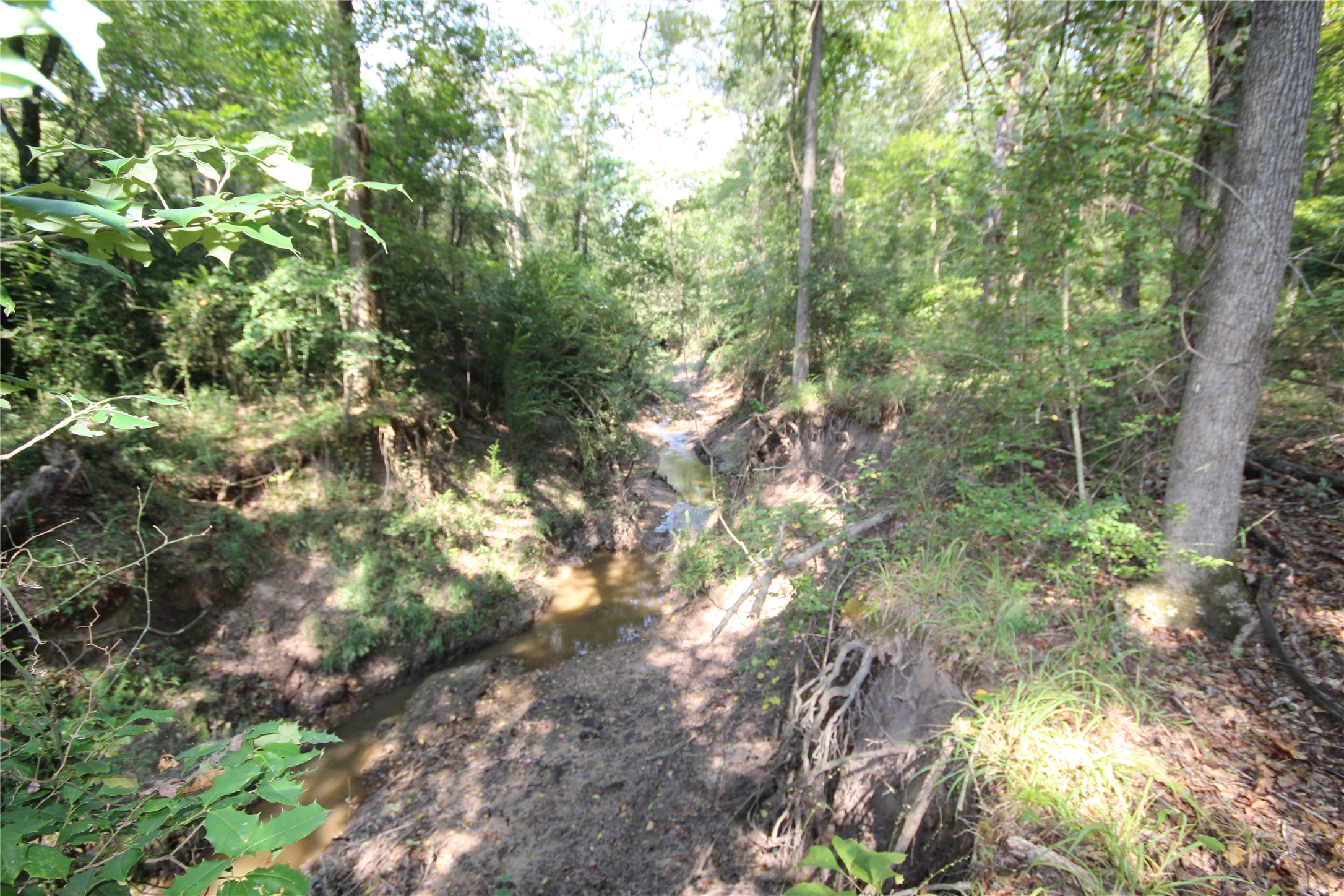 0 Cr 347 Palestine TX 75802
