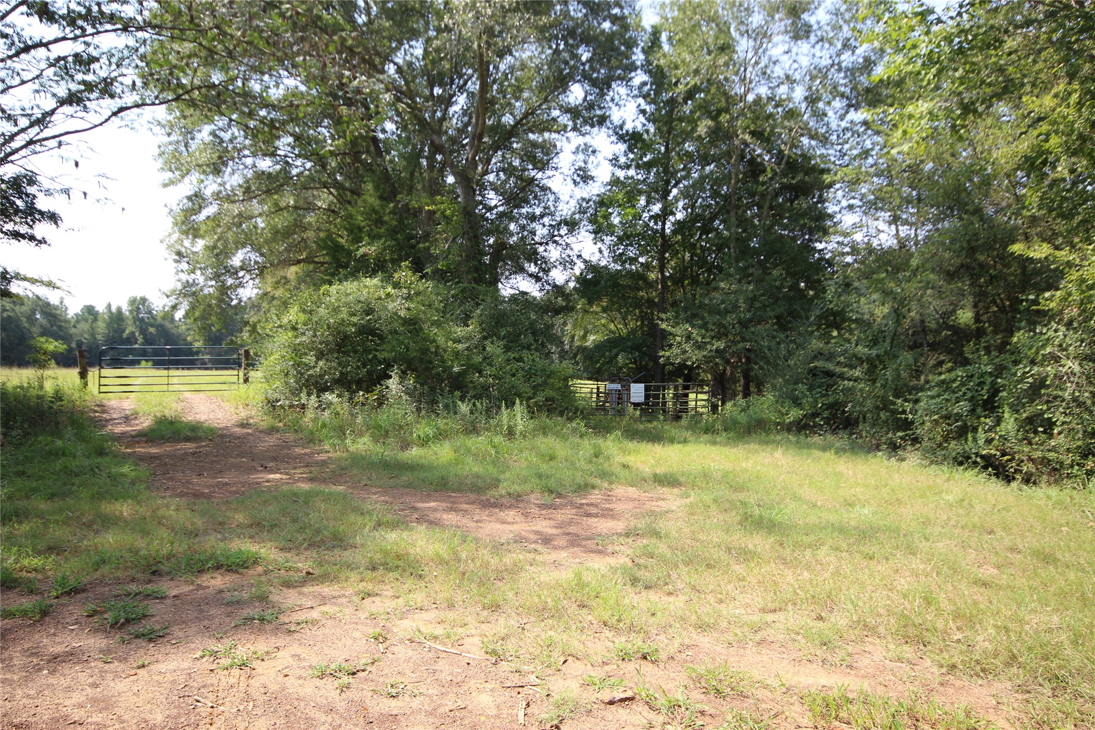 0 Cr 347 Palestine TX 75802