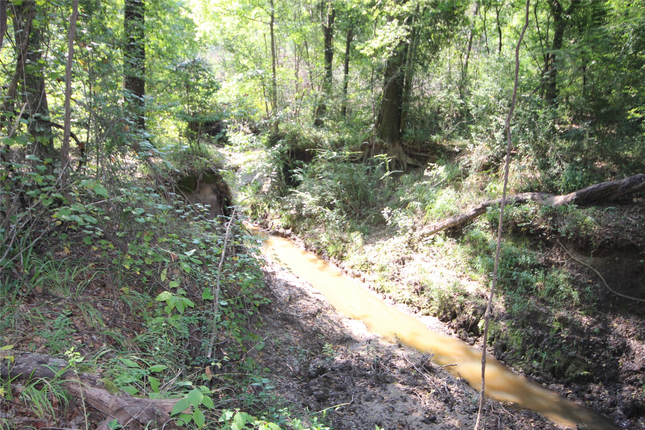 0 Cr 347 Palestine TX 75802