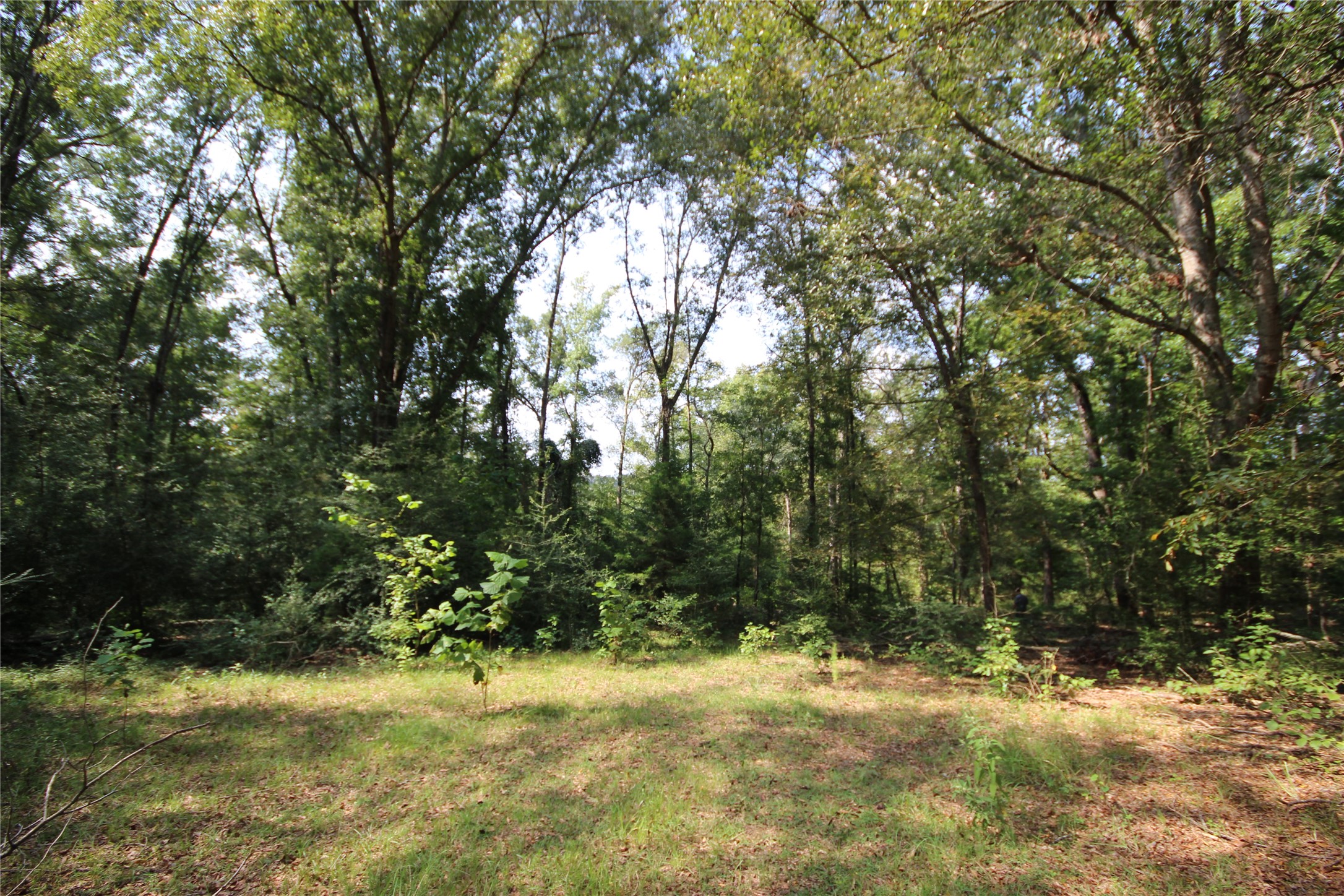 0 Cr 347 Palestine TX 75802