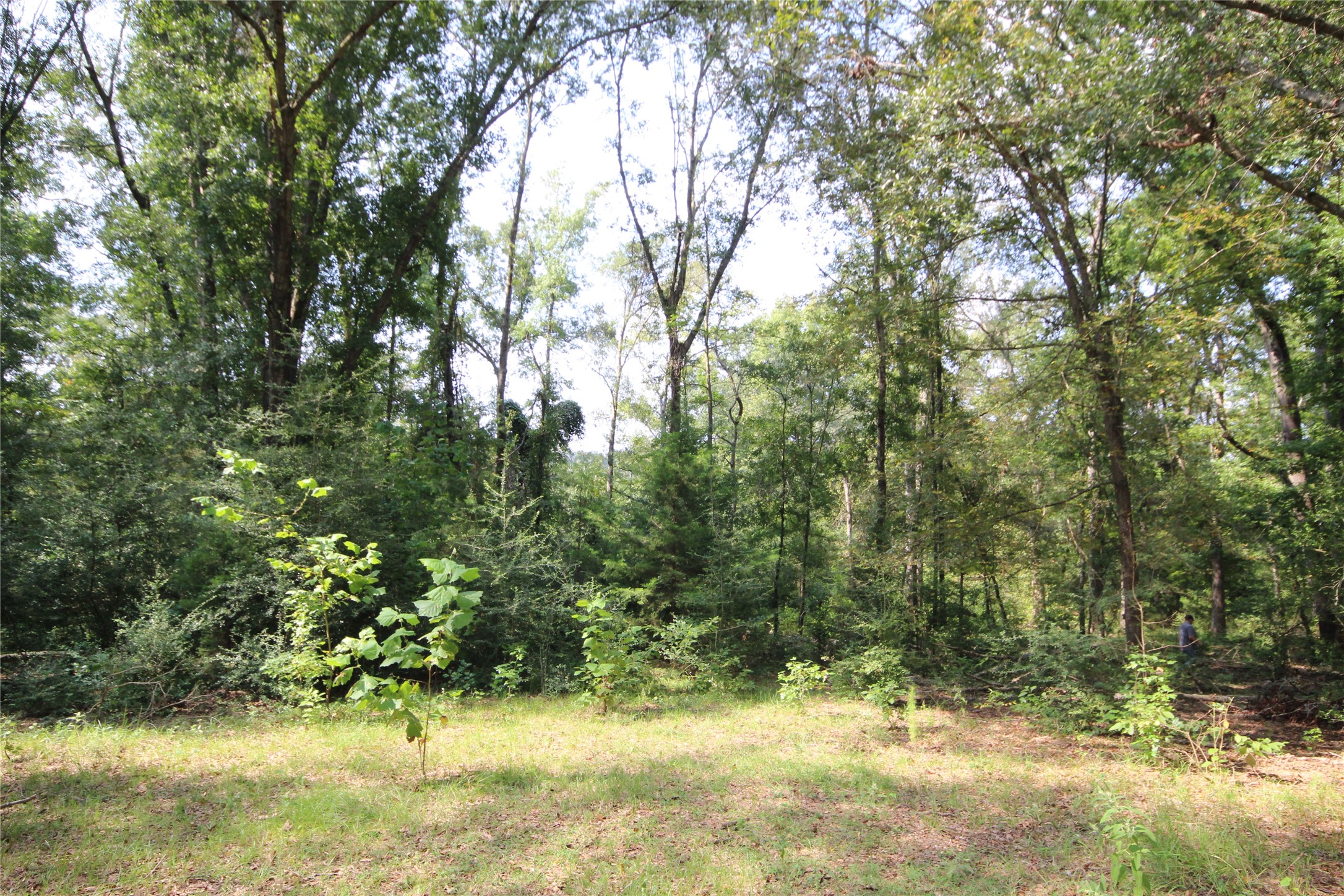 0 Cr 347 Palestine TX 75802