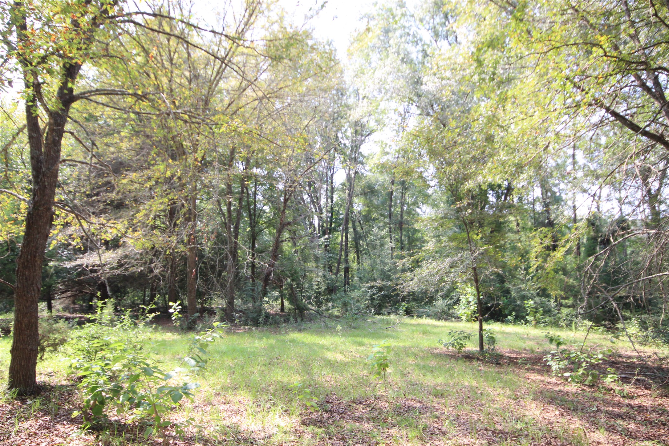 0 Cr 347 Palestine TX 75802