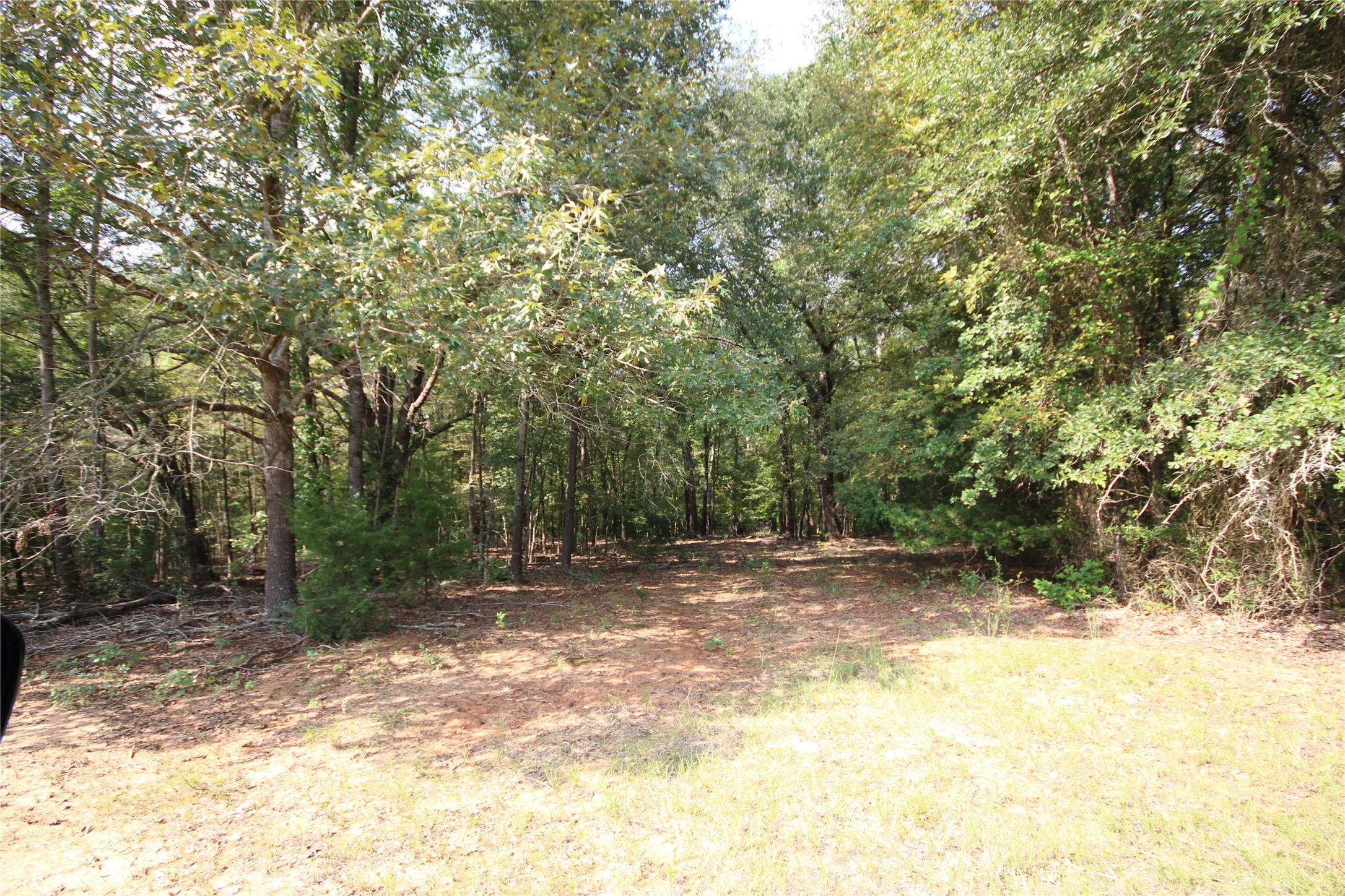 0 Cr 347 Palestine TX 75802