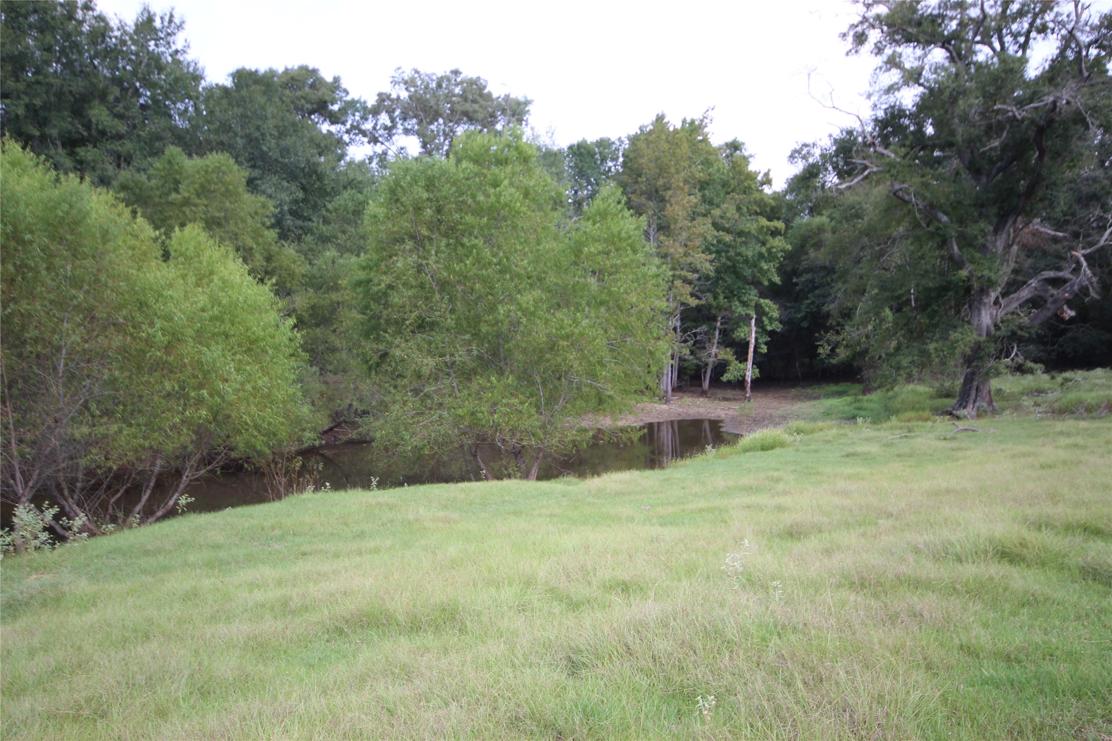 0 Cr 347 Palestine TX 75802