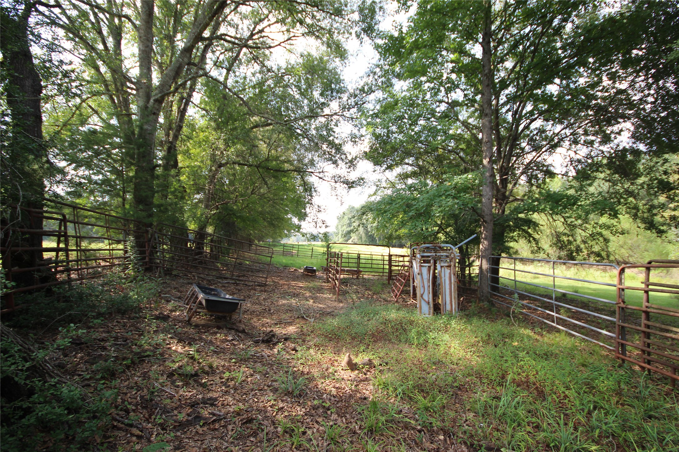 0 Cr 347 Palestine TX 75802