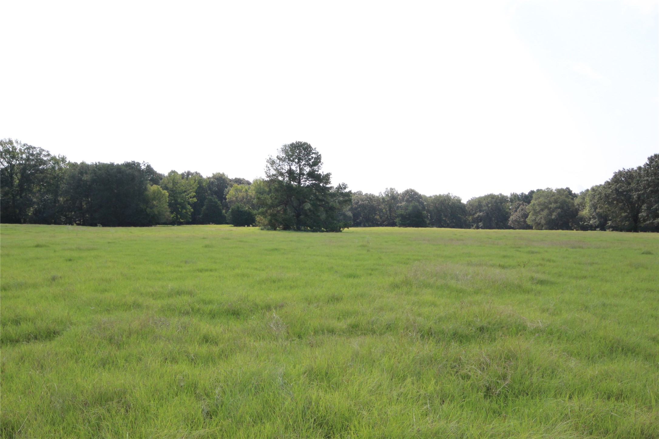 0 Cr 347 Palestine TX 75802