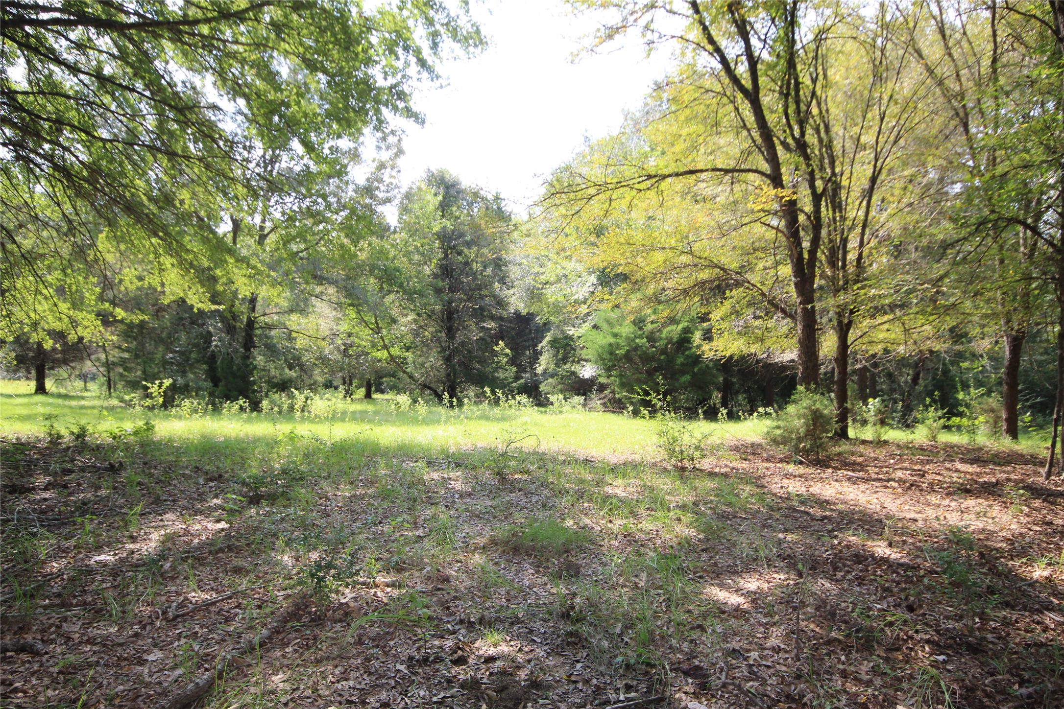 0 Cr 347 Palestine TX 75802