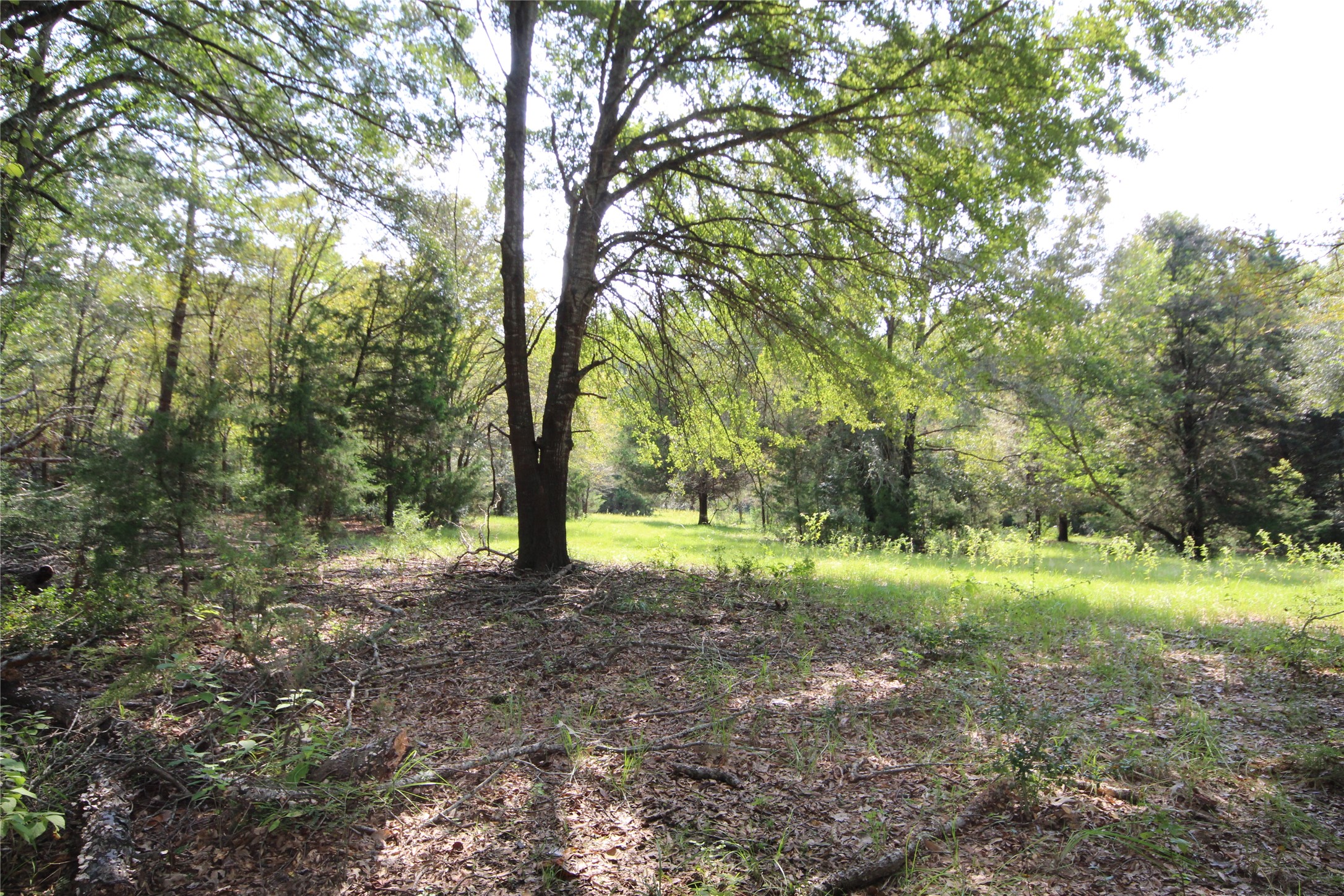 0 Cr 347 Palestine TX 75802