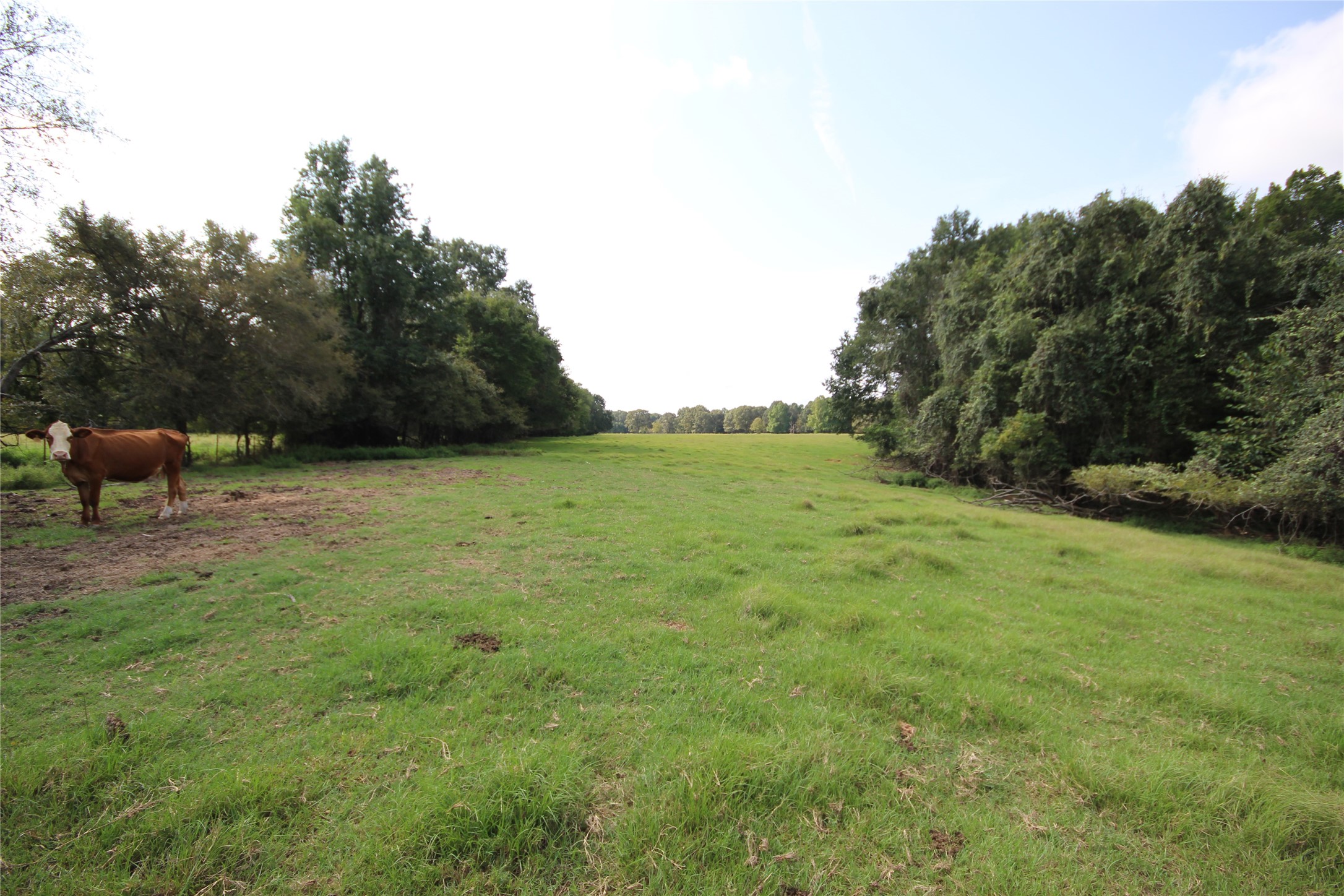 0 Cr 347 Palestine TX 75802