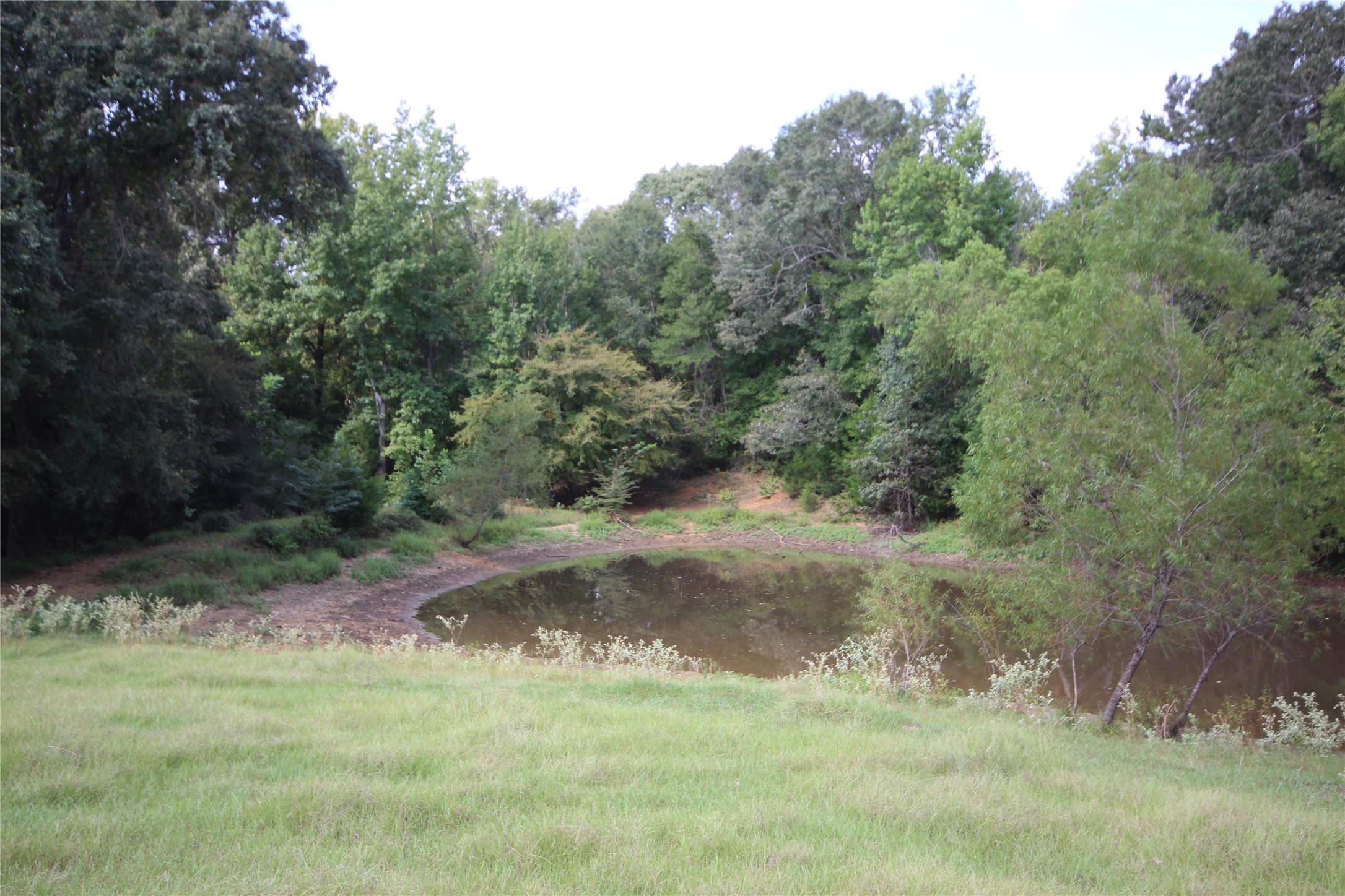 0 Cr 347 Palestine TX 75802