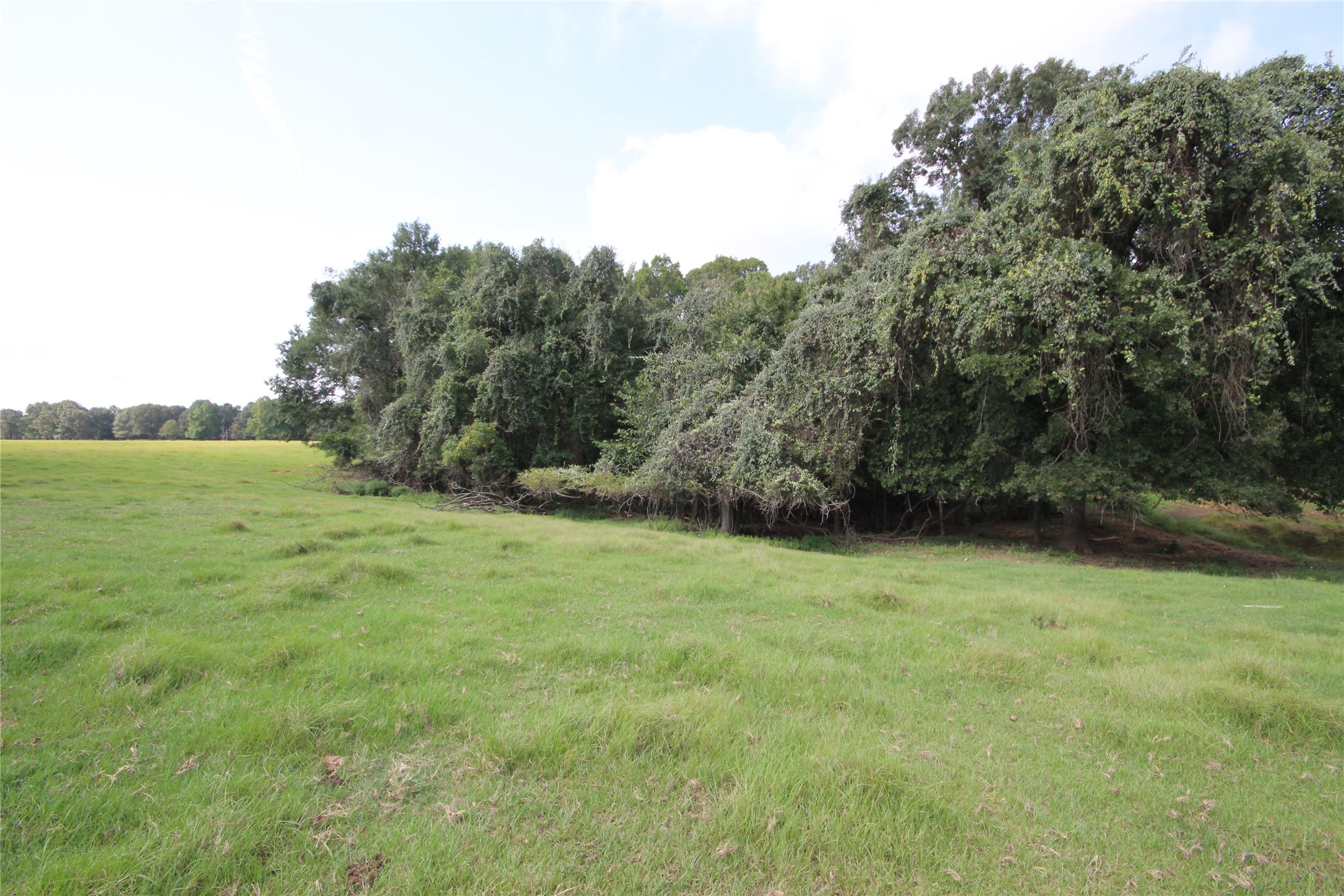 0 Cr 347 Palestine TX 75802