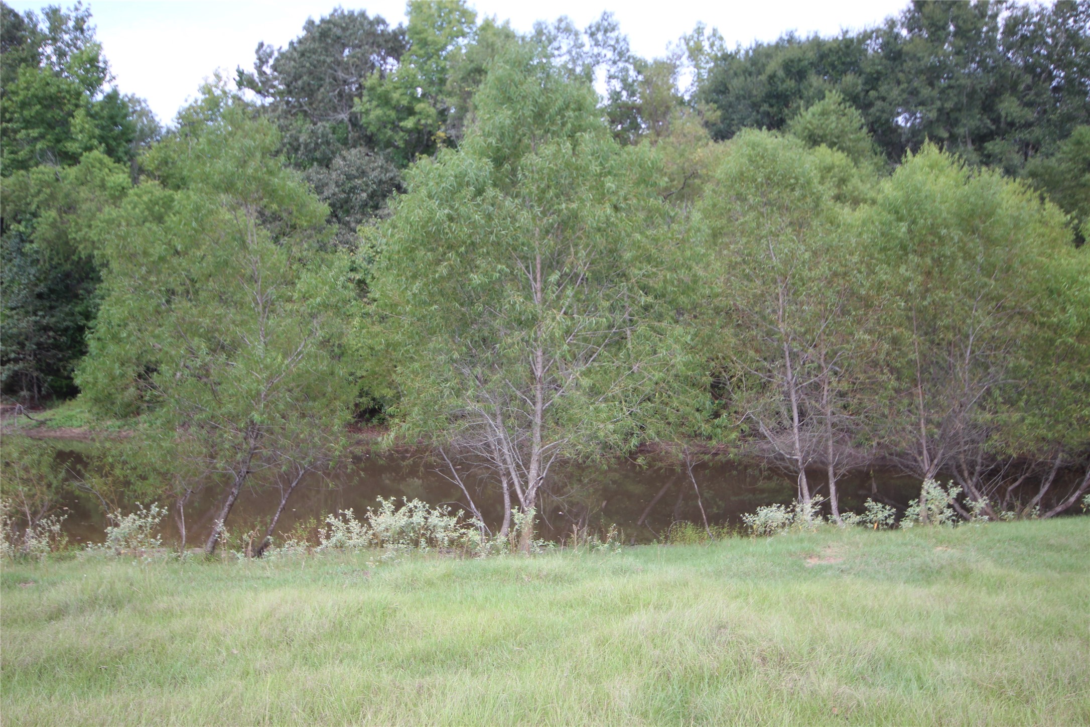 0 Cr 347 Palestine TX 75802