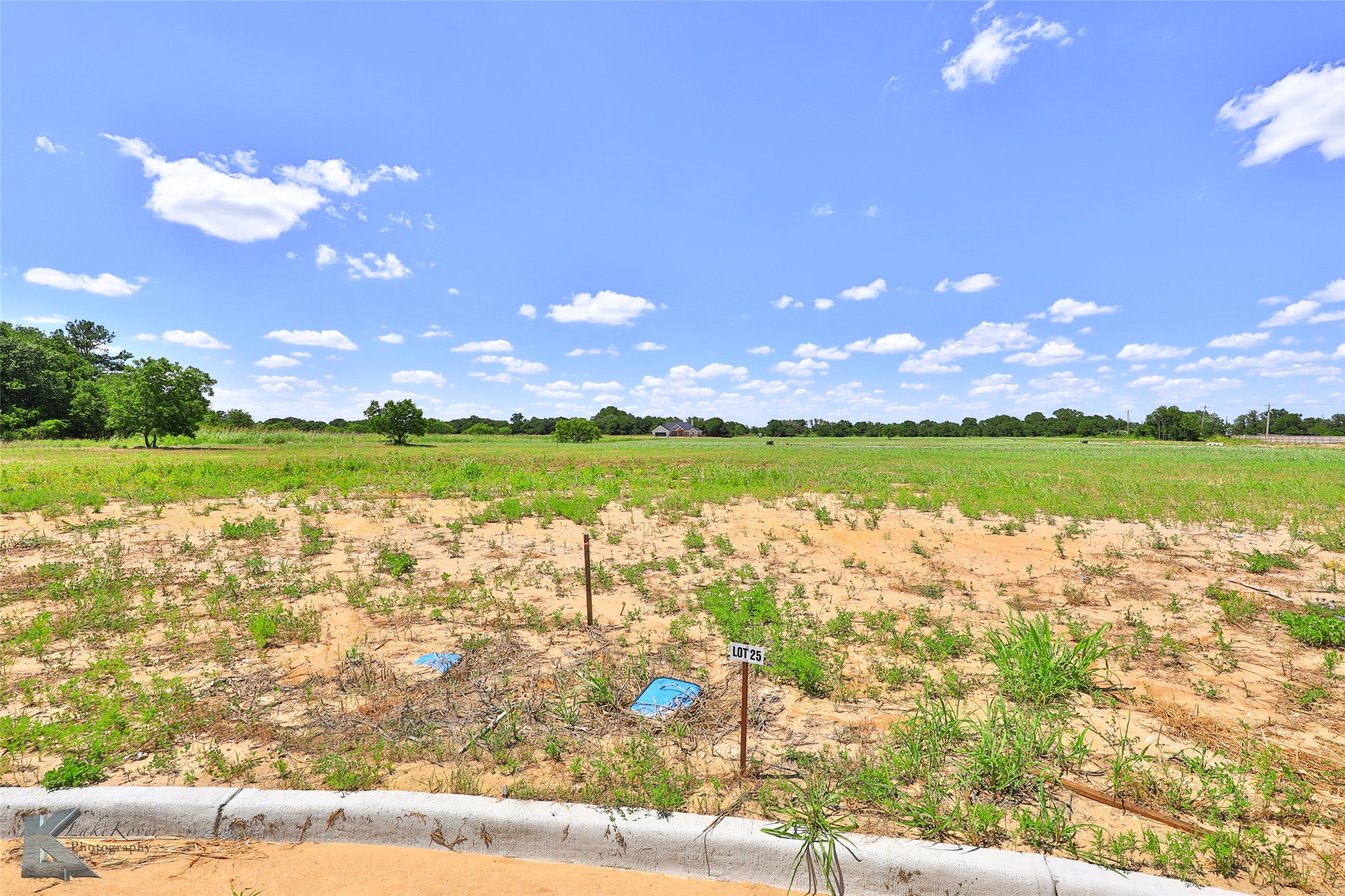 1004 Southwind Circle Clyde TX 79510