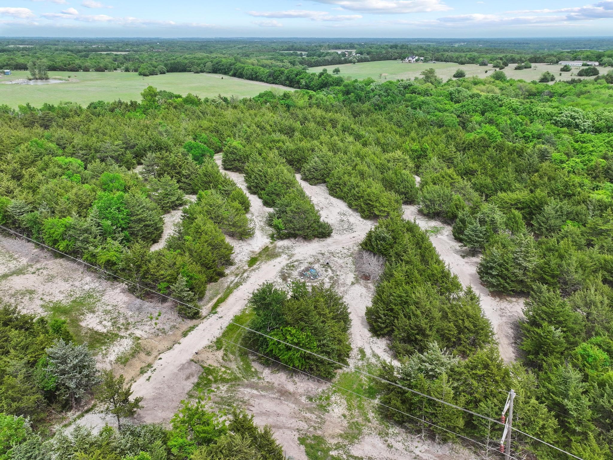 117 Donaghey Street Trenton TX 75490