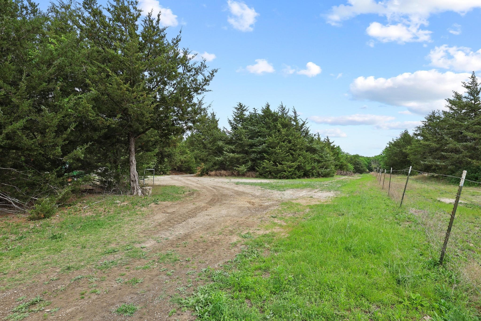117 Donaghey Street Trenton TX 75490
