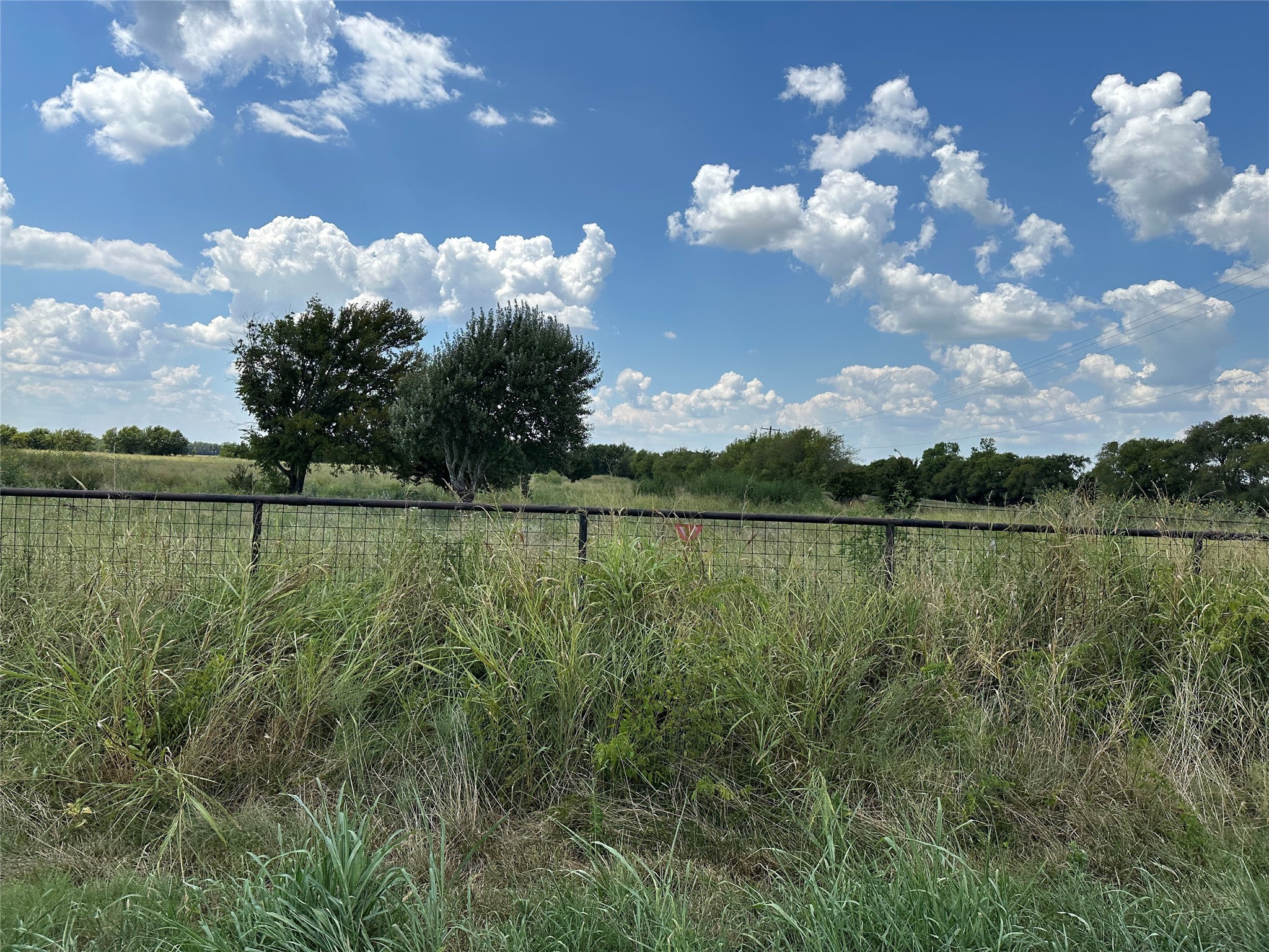 Lot 8 Eastline Road Whitewright TX 75491