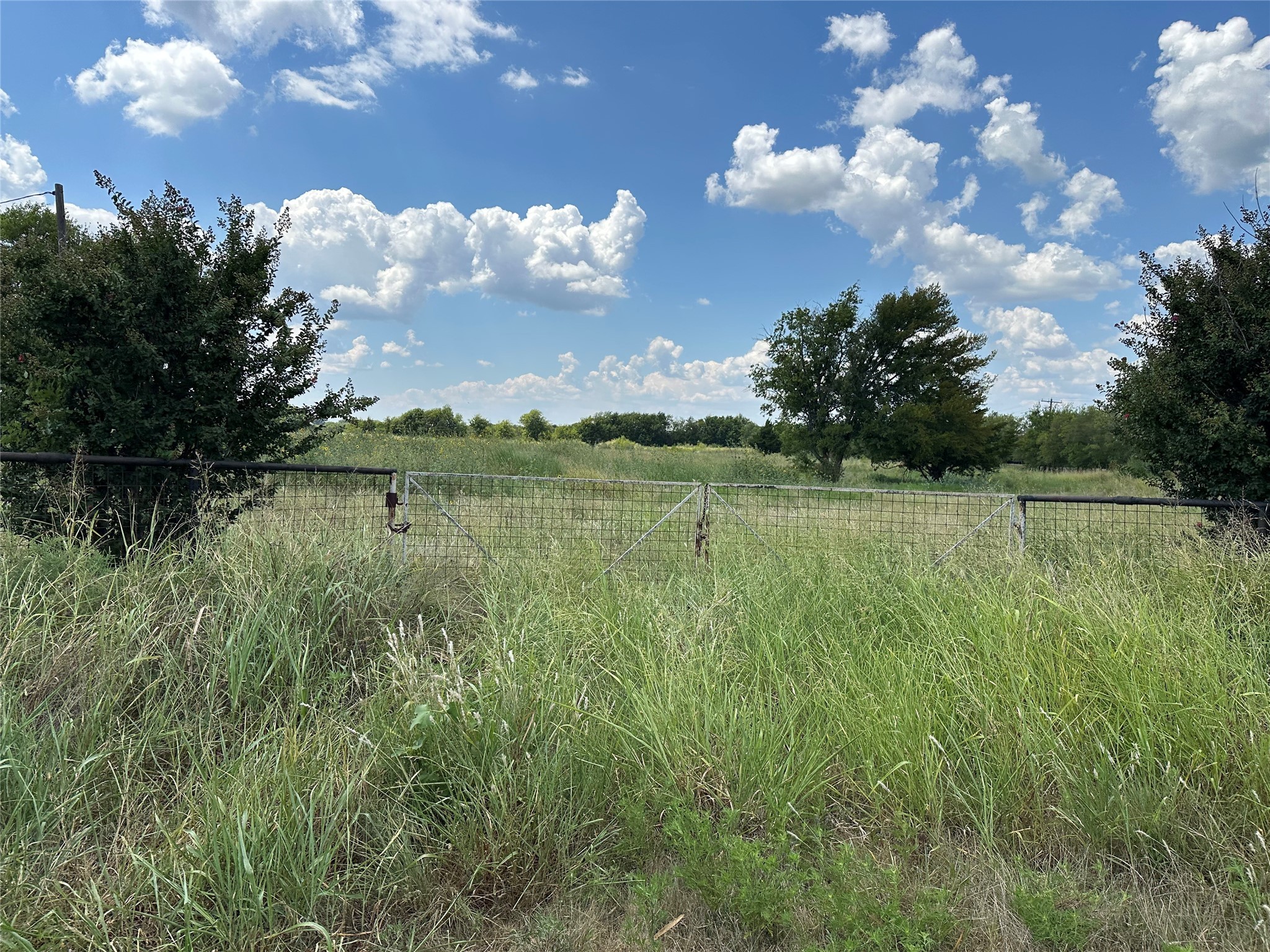 Lot 8 Eastline Road Whitewright TX 75491