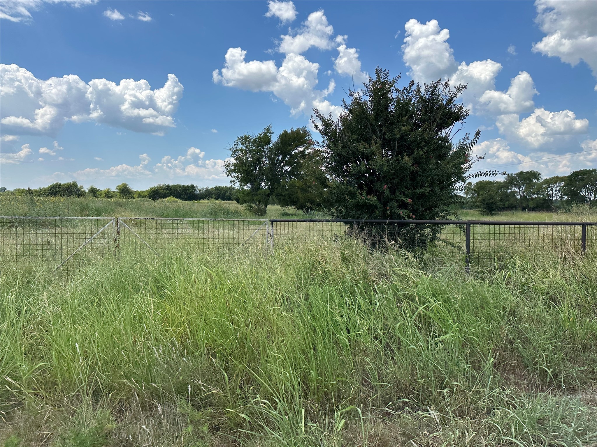 Lot 8 Eastline Road Whitewright TX 75491