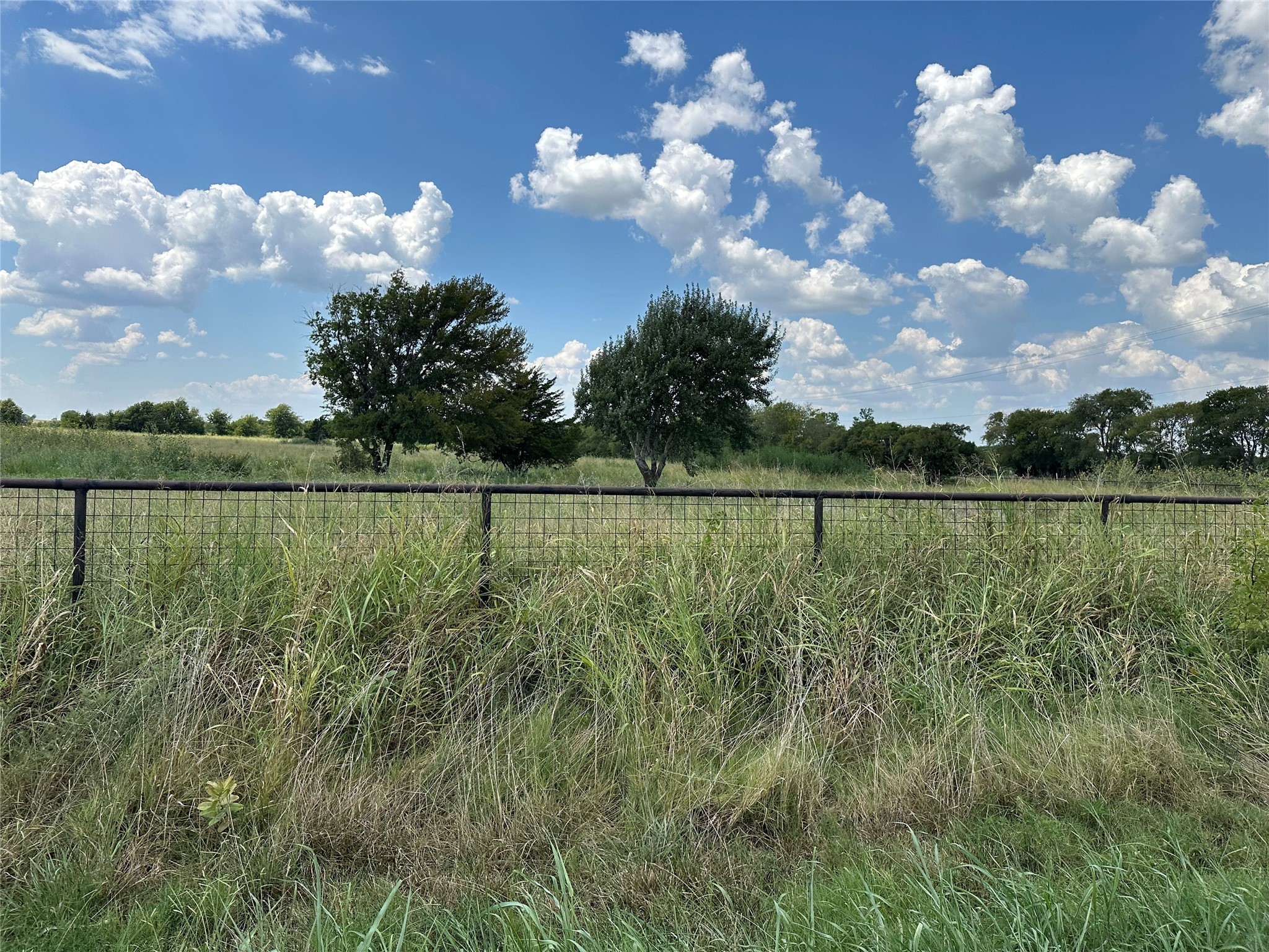 Lot 8 Eastline Road Whitewright TX 75491