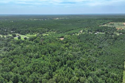 Tract 2 County Road 4102 Jacksonville TX 75766