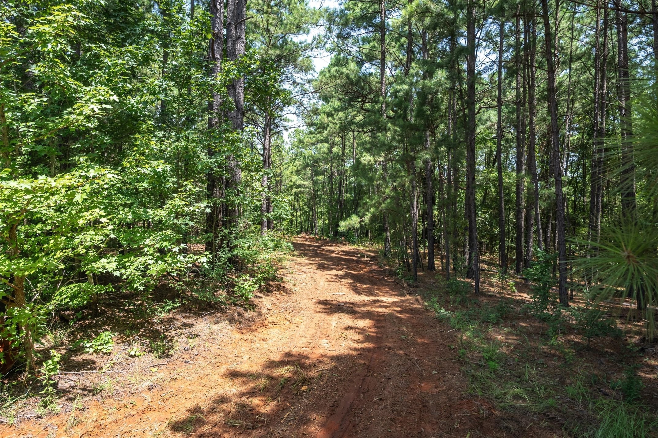 Tract 2 County Road 4102 Jacksonville TX 75766