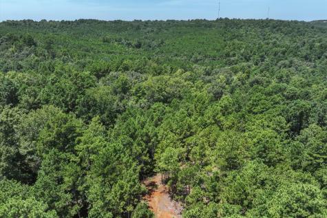 Tract 2 County Road 4102 Jacksonville TX 75766