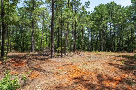 Tract 2 County Road 4102 Jacksonville TX 75766