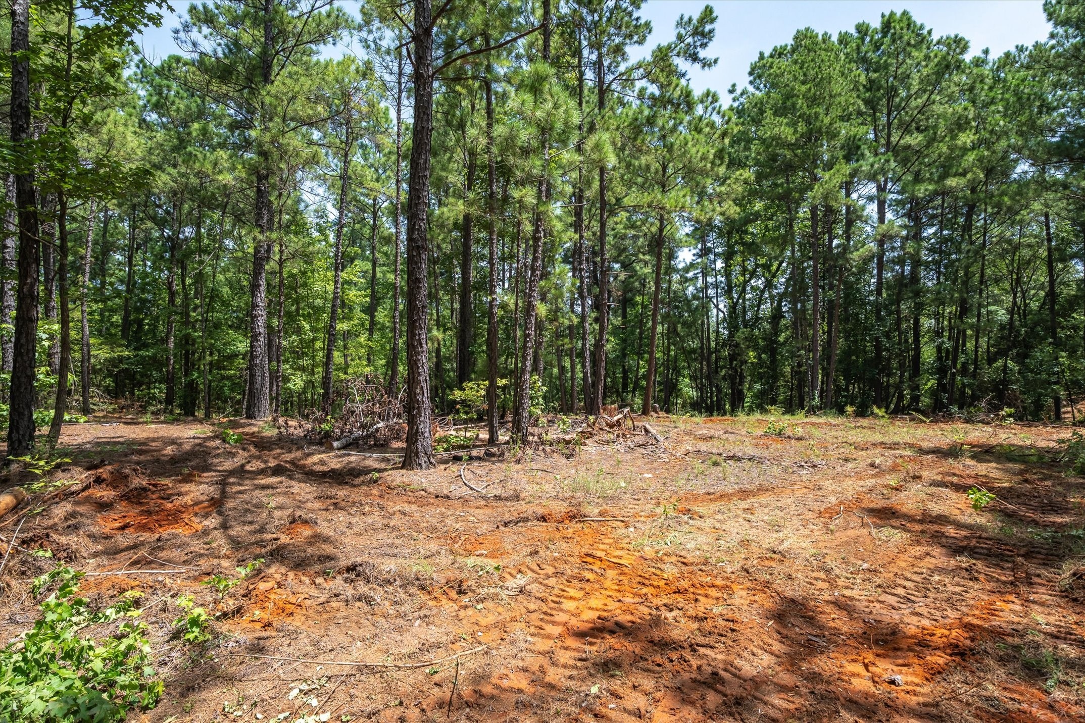 Tract 2 County Road 4102 Jacksonville TX 75766