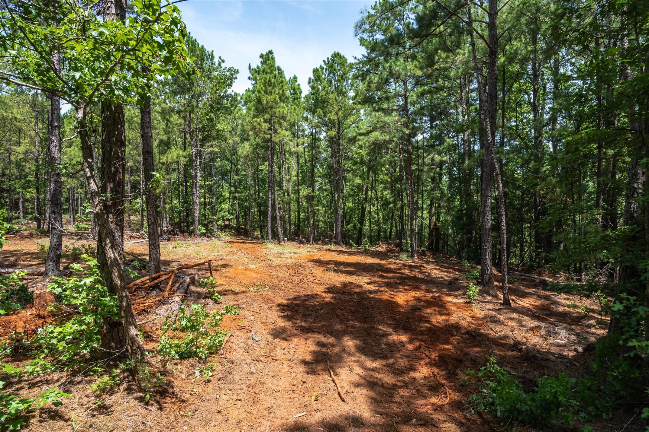 Tract 2 County Road 4102 Jacksonville TX 75766