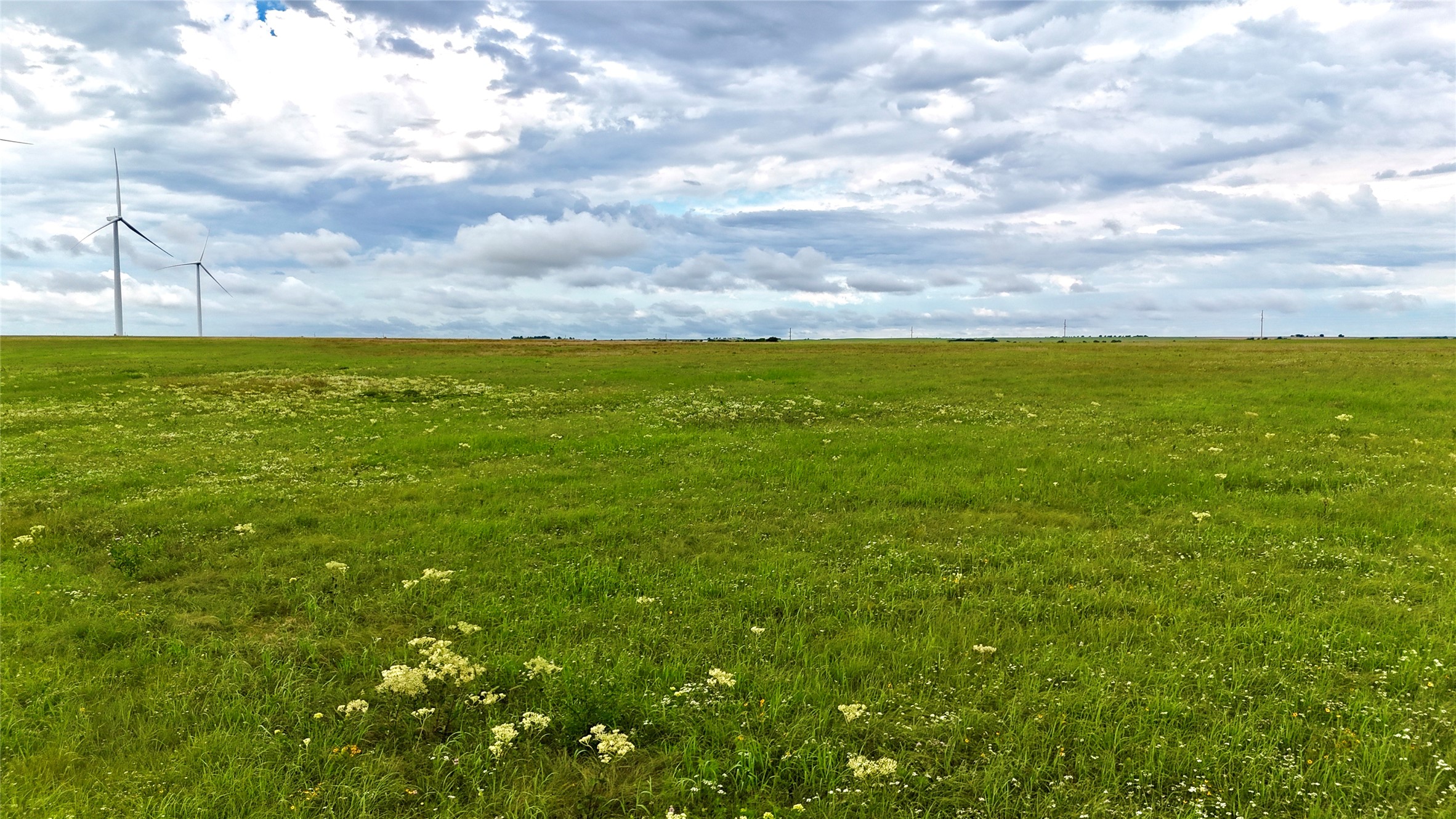 0000 County Road 431 Muenster TX 76252