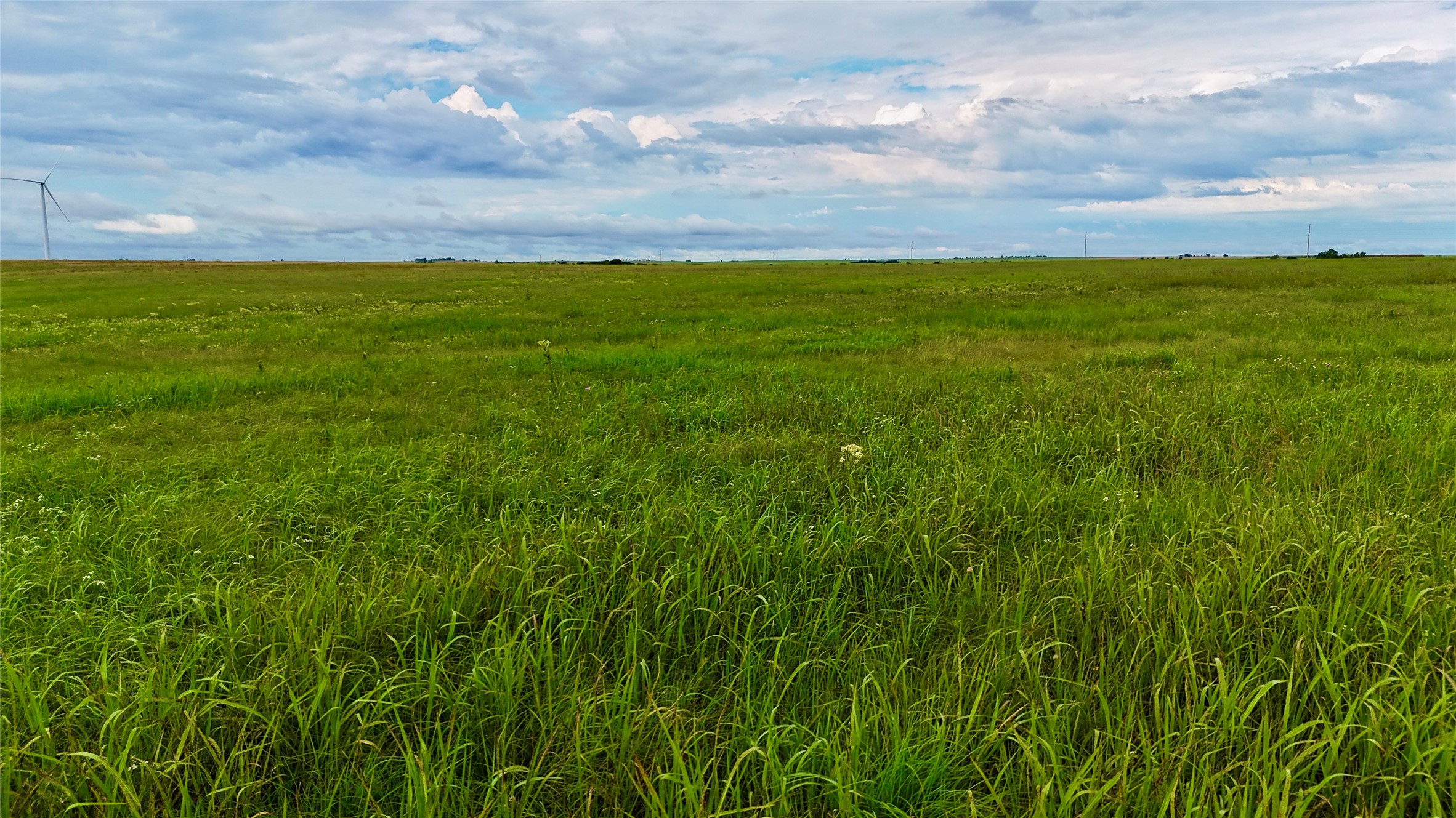 0000 County Road 431 Muenster TX 76252