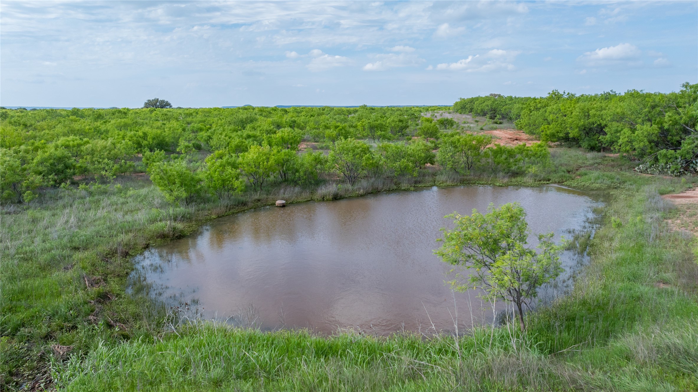 698 County Road 133 Ovalo TX 79541