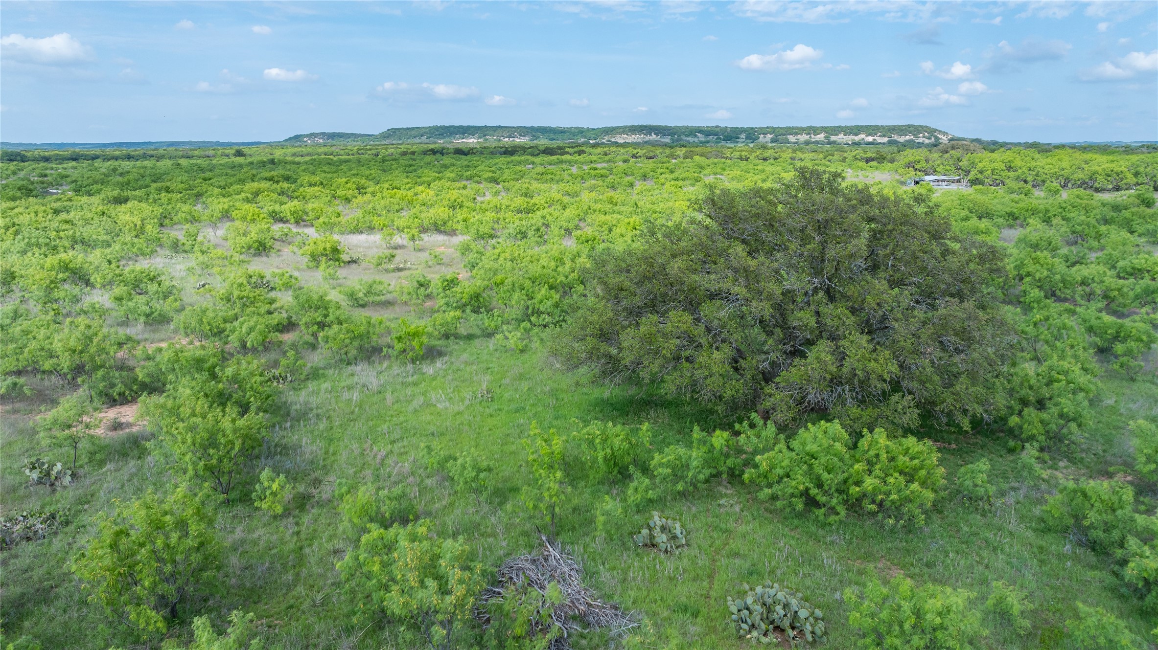 698 County Road 133 Ovalo TX 79541
