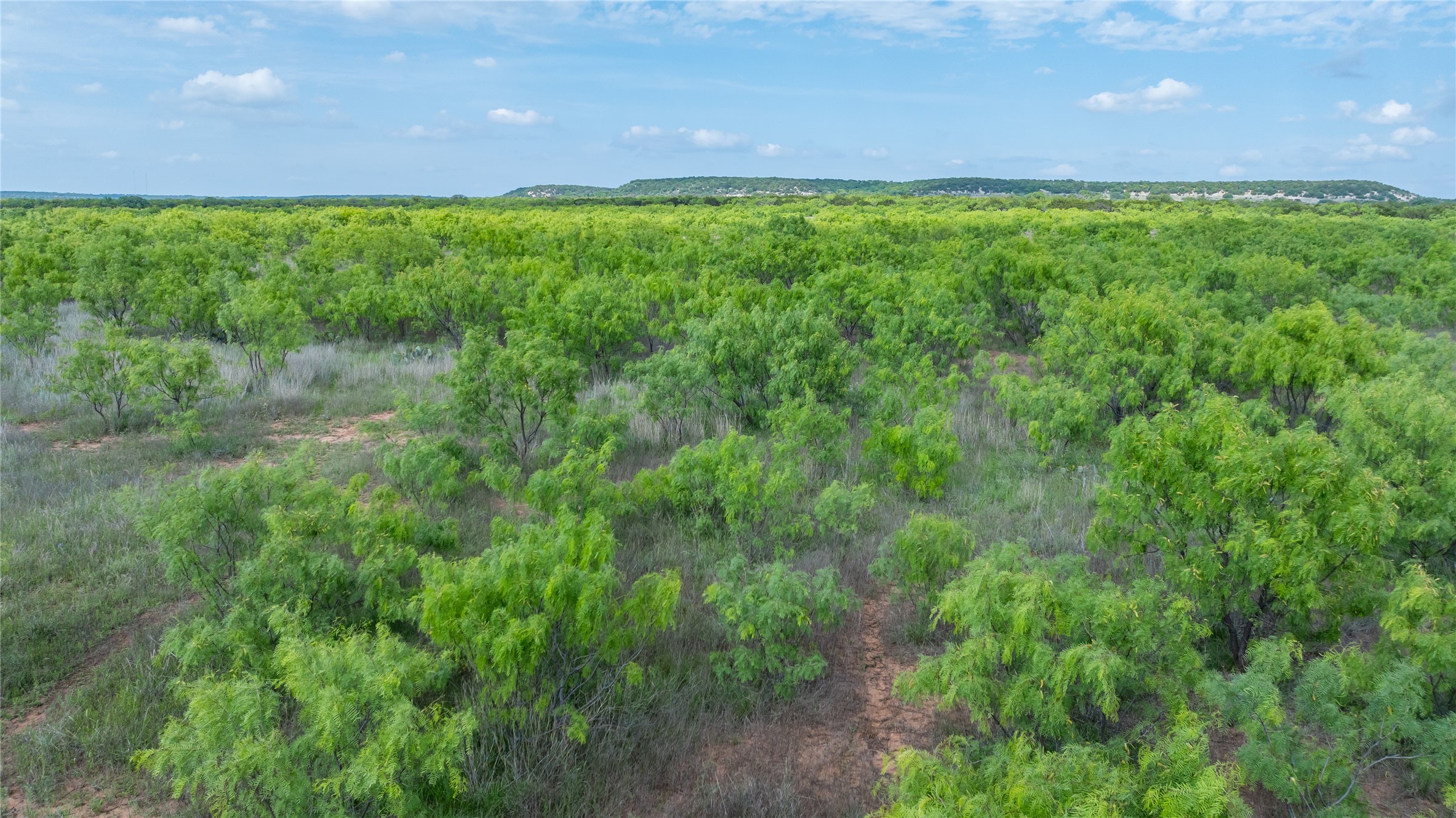 698 County Road 133 Ovalo TX 79541