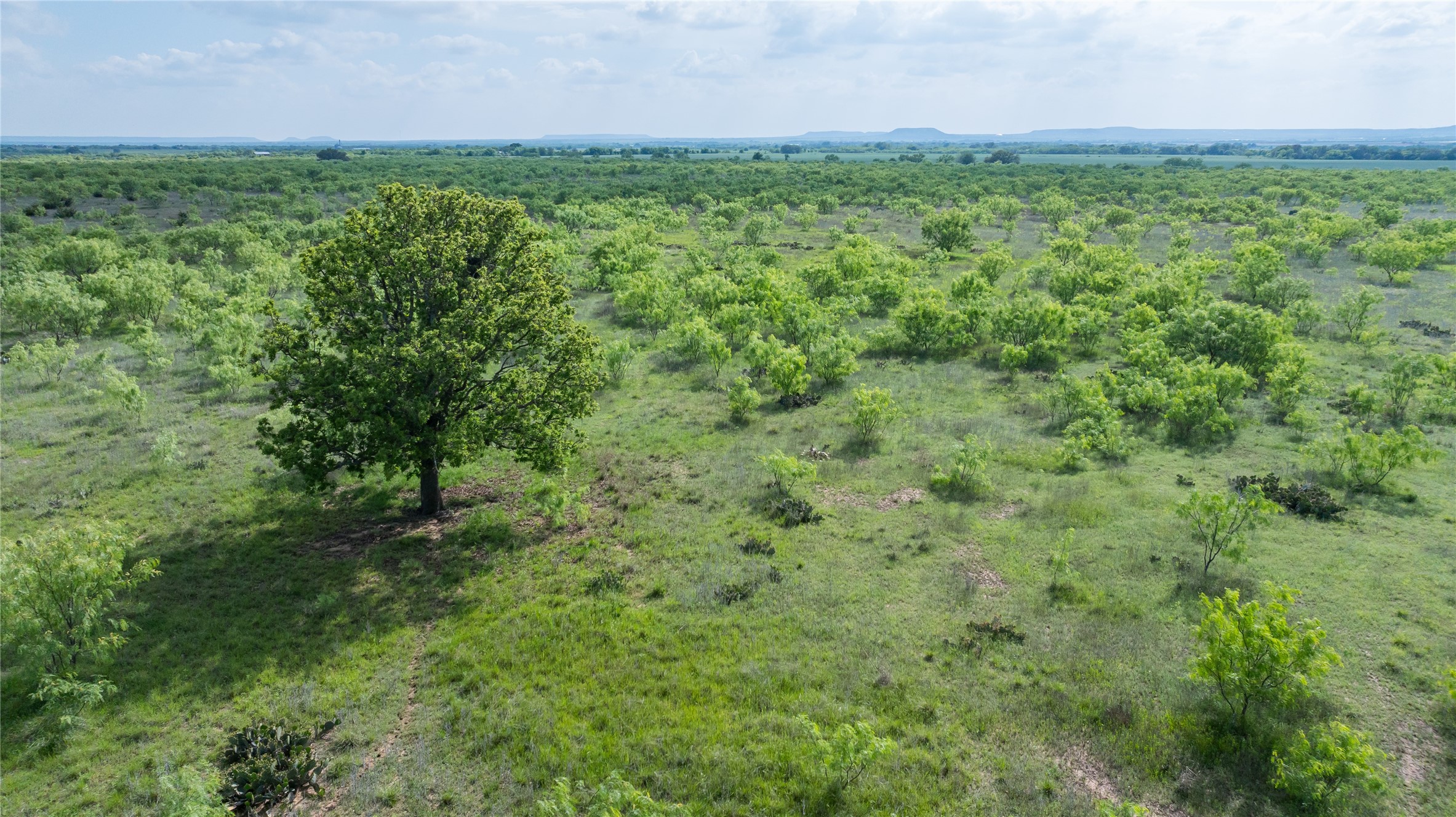 698 County Road 133 Ovalo TX 79541