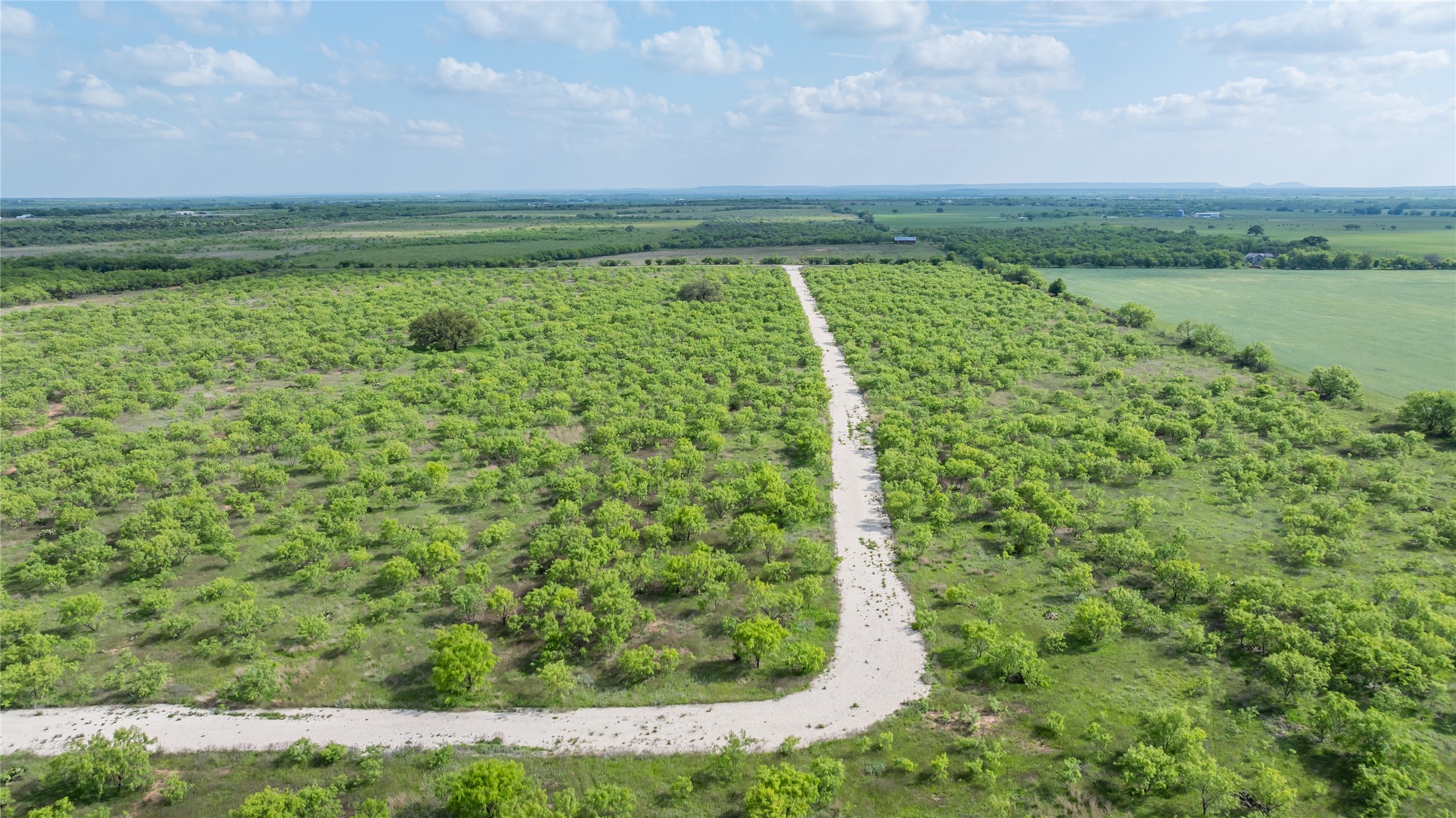 698 County Road 133 Ovalo TX 79541