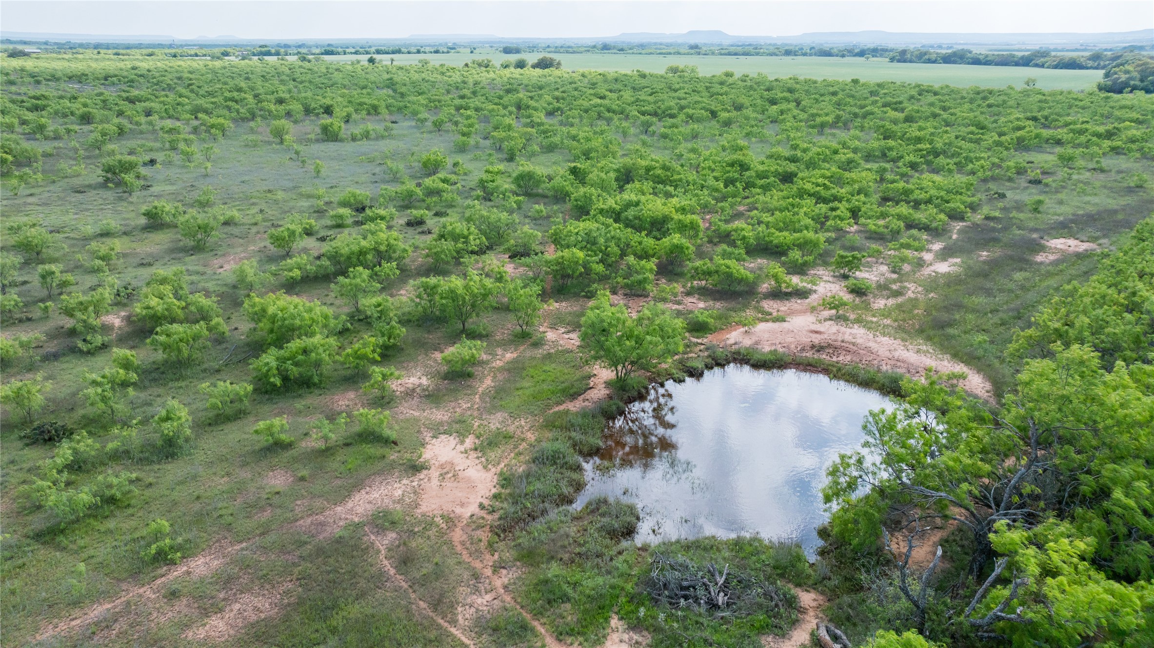 698 County Road 133 Ovalo TX 79541