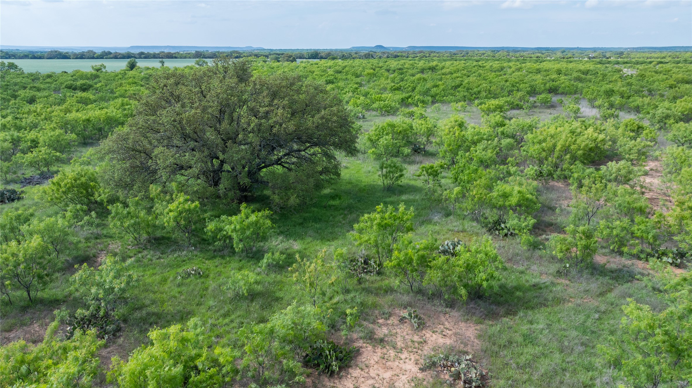 698 County Road 133 Ovalo TX 79541
