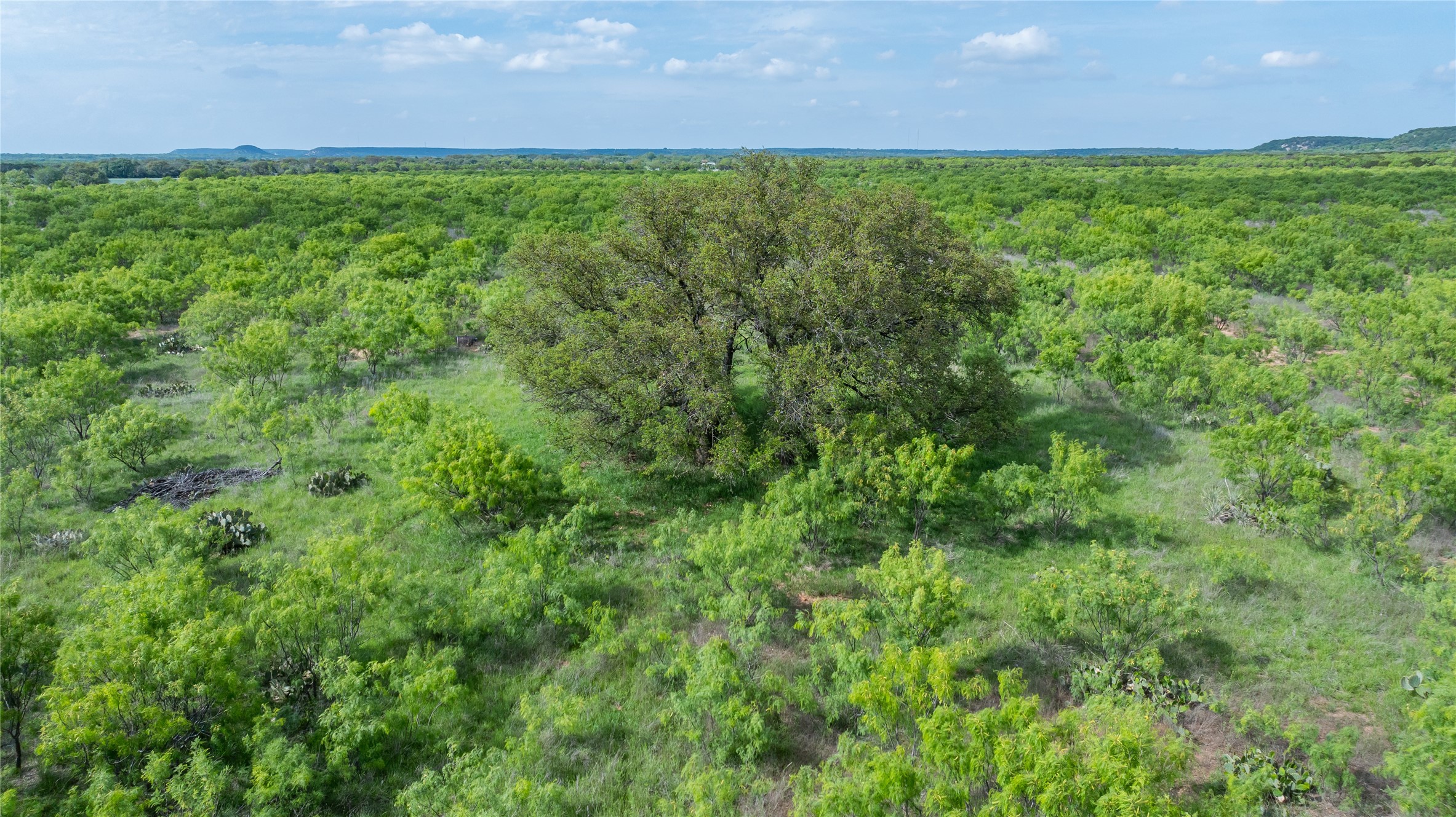 698 County Road 133 Ovalo TX 79541