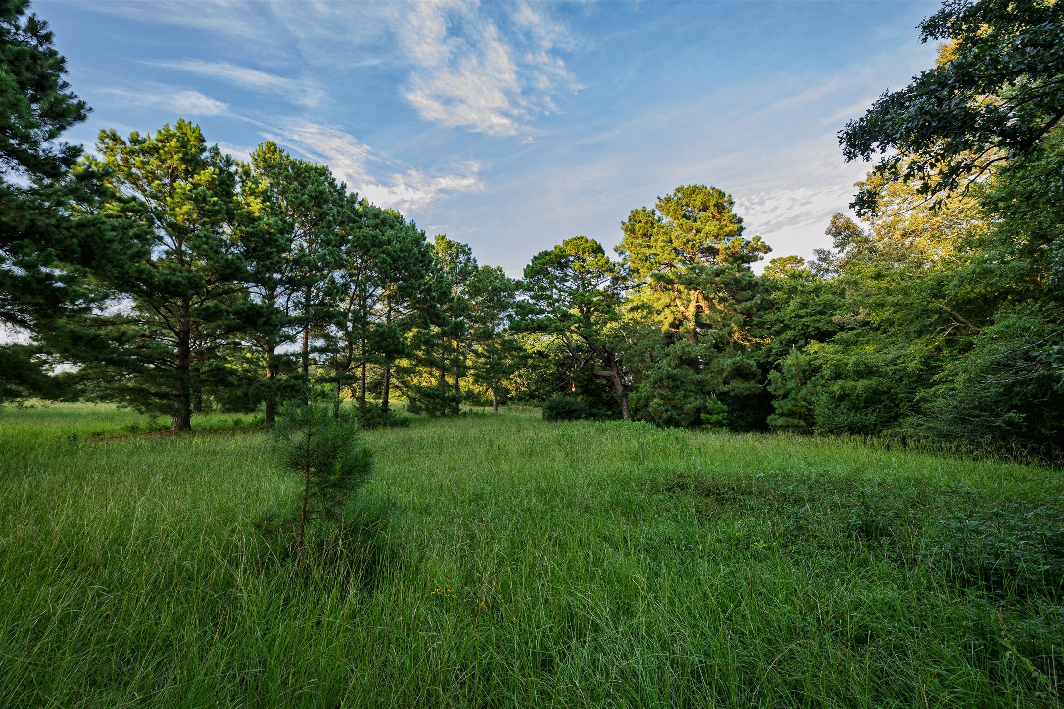 00 County Road 2138 Troup TX 75789