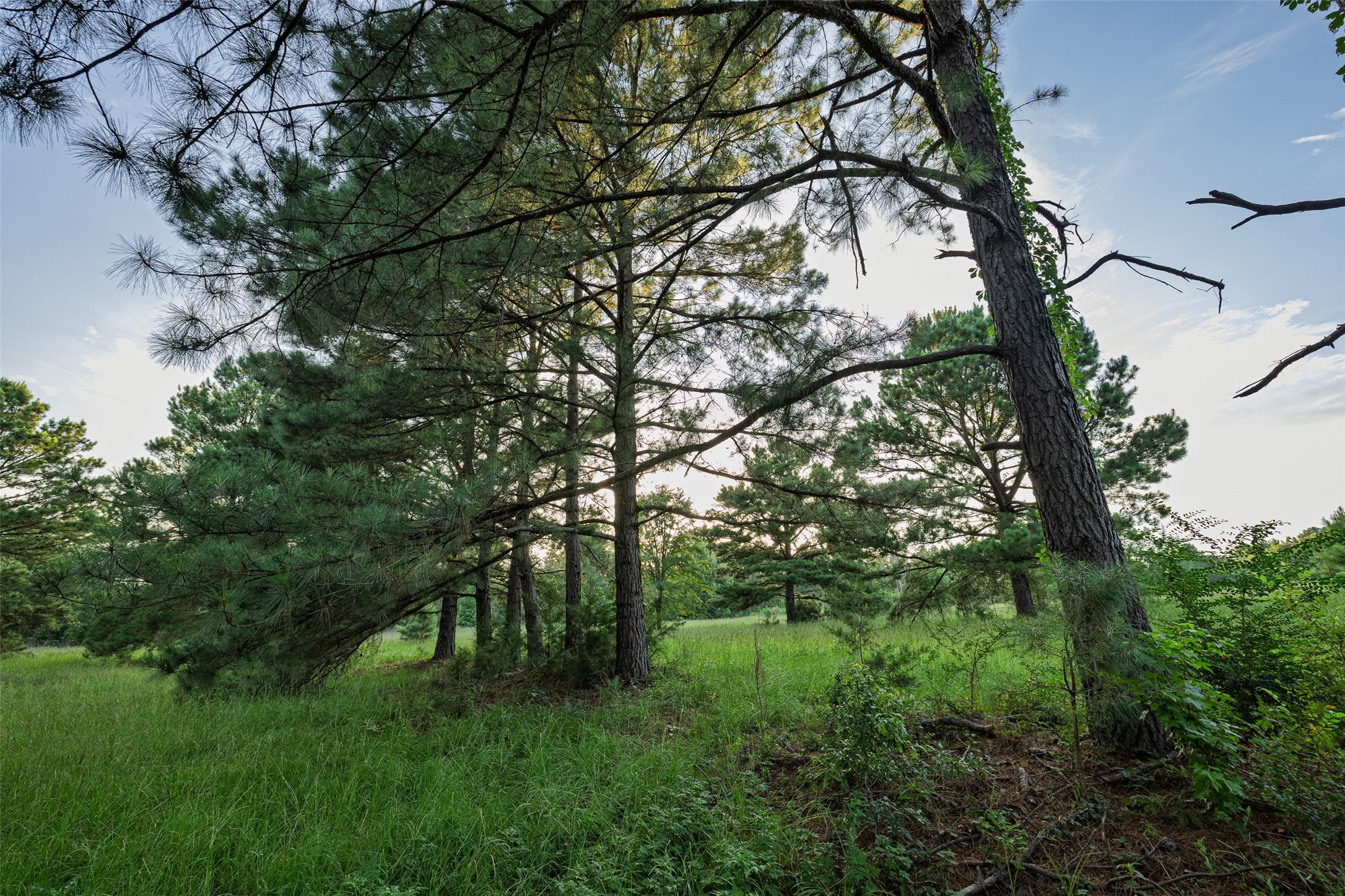 00 County Road 2138 Troup TX 75789