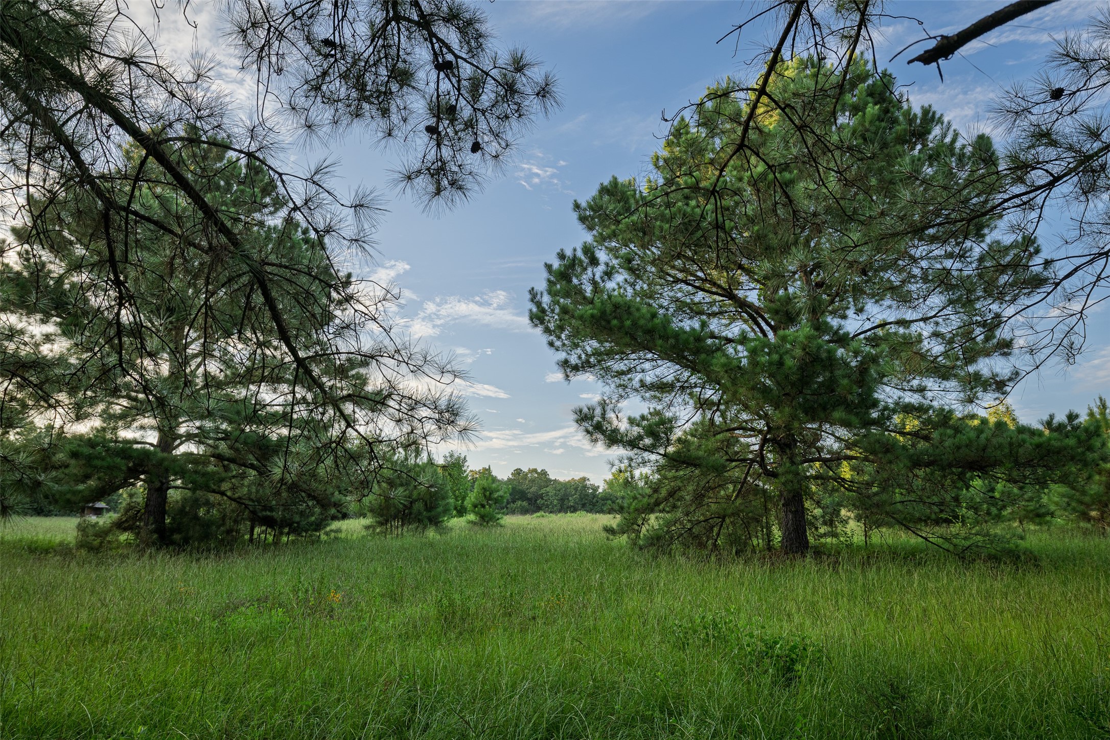 00 County Road 2138 Troup TX 75789