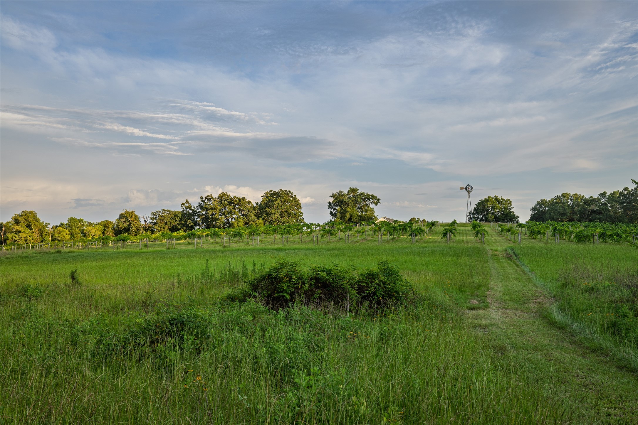 00 County Road 2138 Troup TX 75789