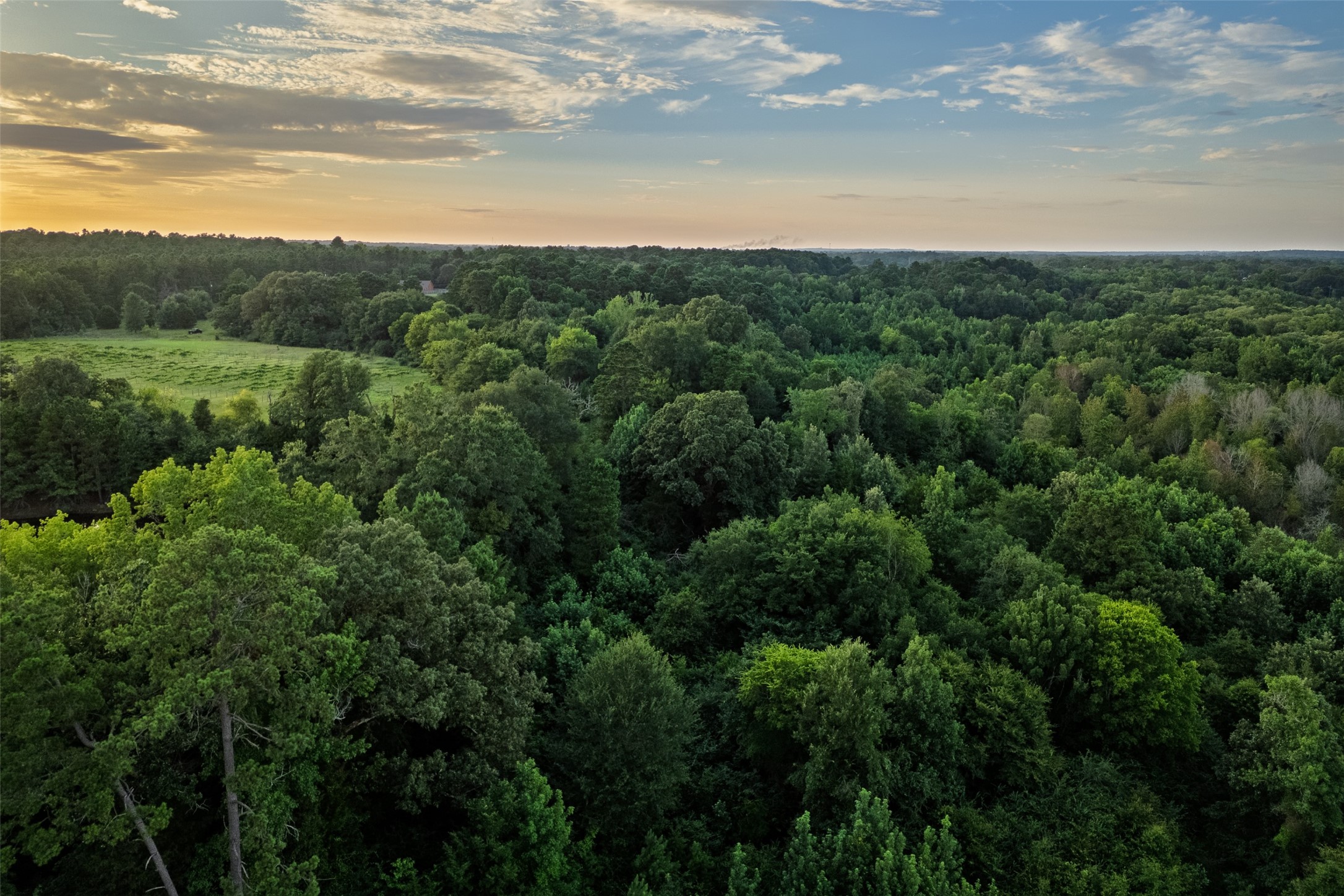 00 County Road 2138 Troup TX 75789