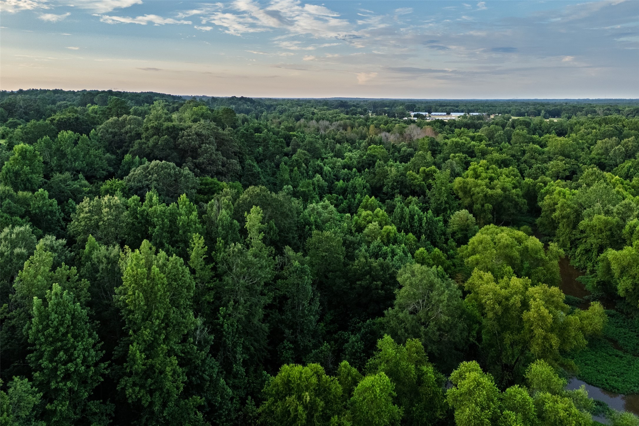 00 County Road 2138 Troup TX 75789