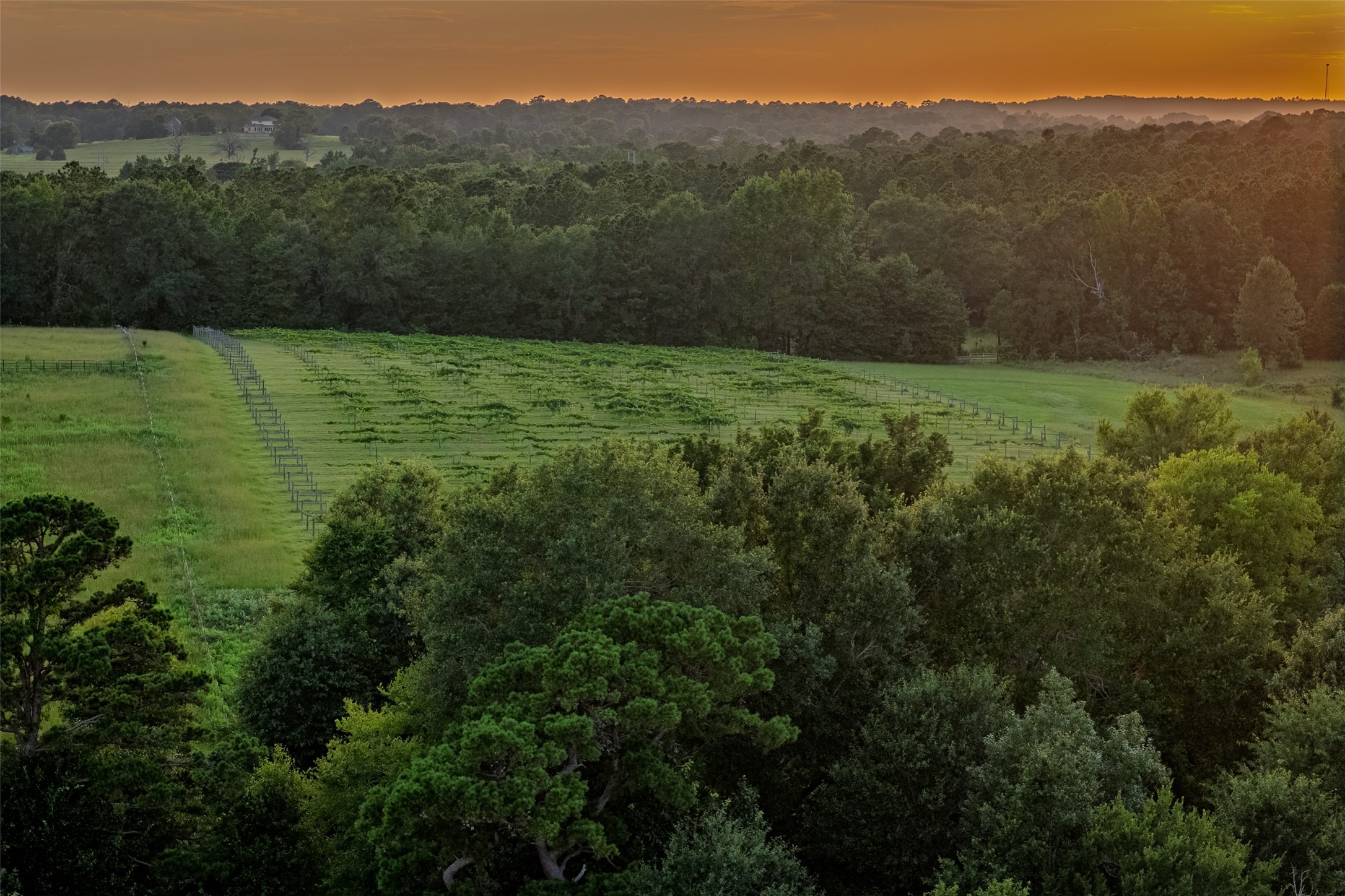 00 County Road 2138 Troup TX 75789